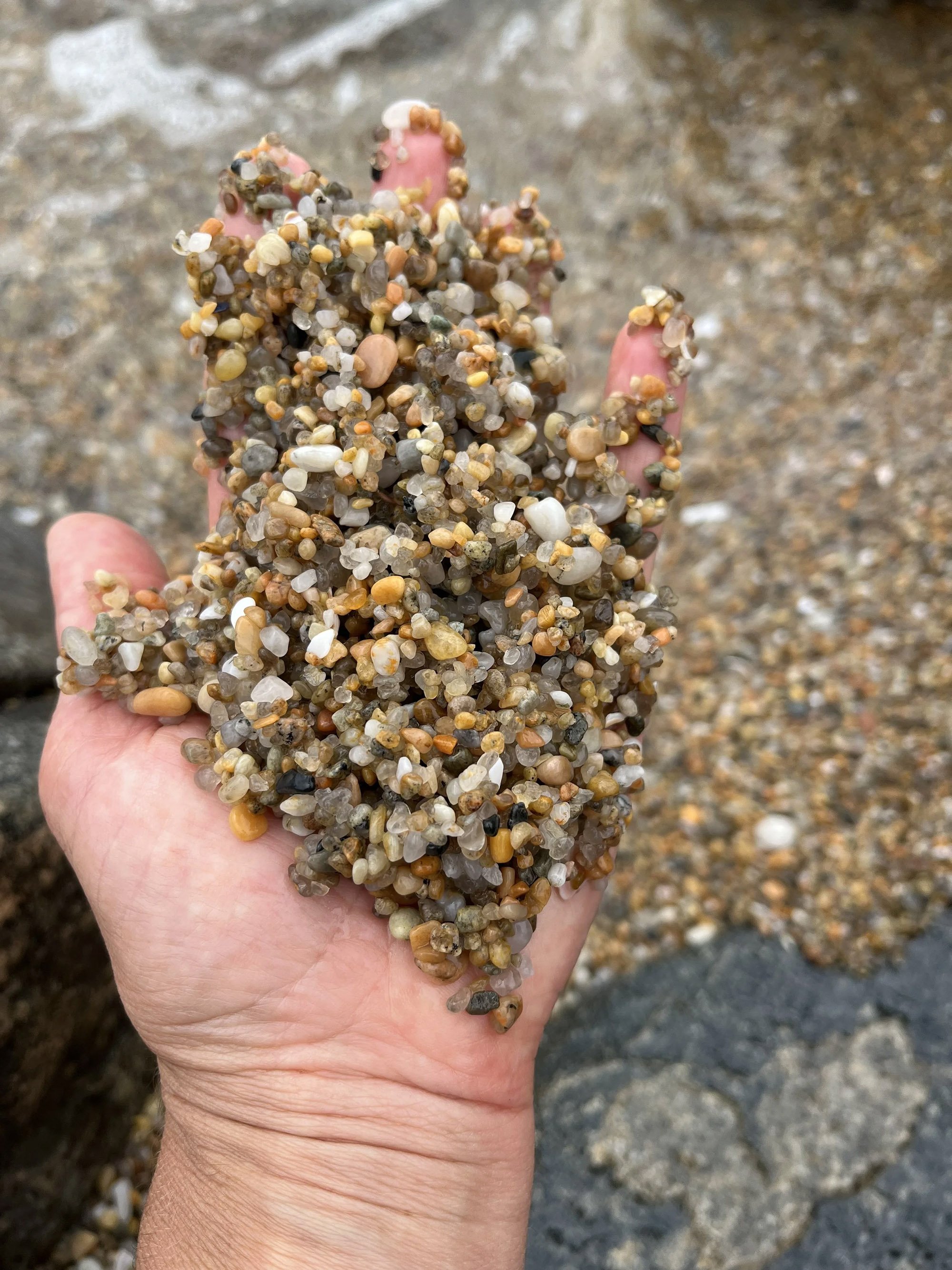 A hand holding a handful of wet multicolored small rocks and pebbles on a beach.
