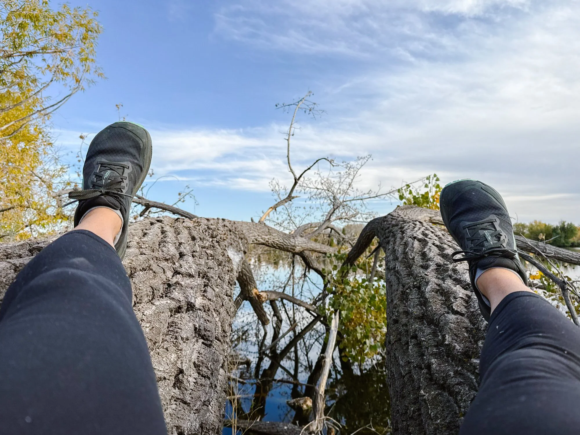 Person sitting on a large tree trunk, wearing black sneakers and black pants, with their legs extended downward. The photo is taken from their perspective, looking up at the sky with scattered clouds and tree branches with some yellow and green leave