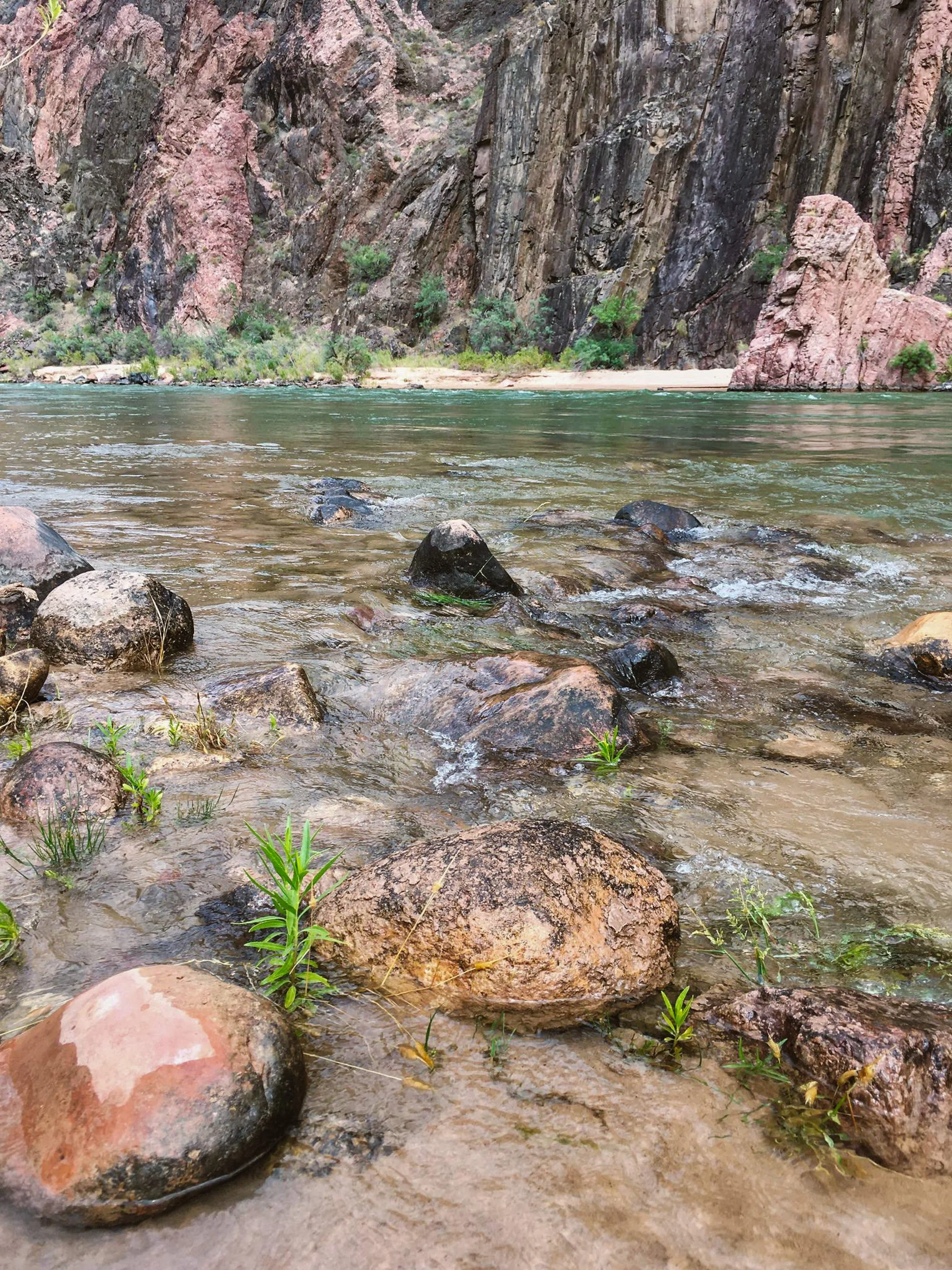 A river flowing through a rocky canyon with steep cliffs and some green vegetation along the shore.