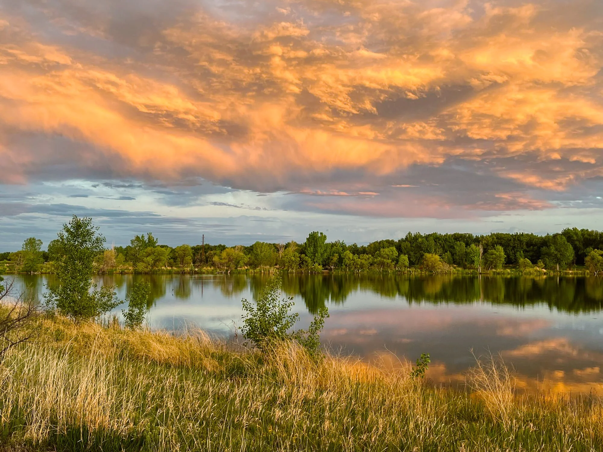 Sunset over a calm lake with pink and orange clouds in the sky, surrounded by green trees and grass in the foreground.