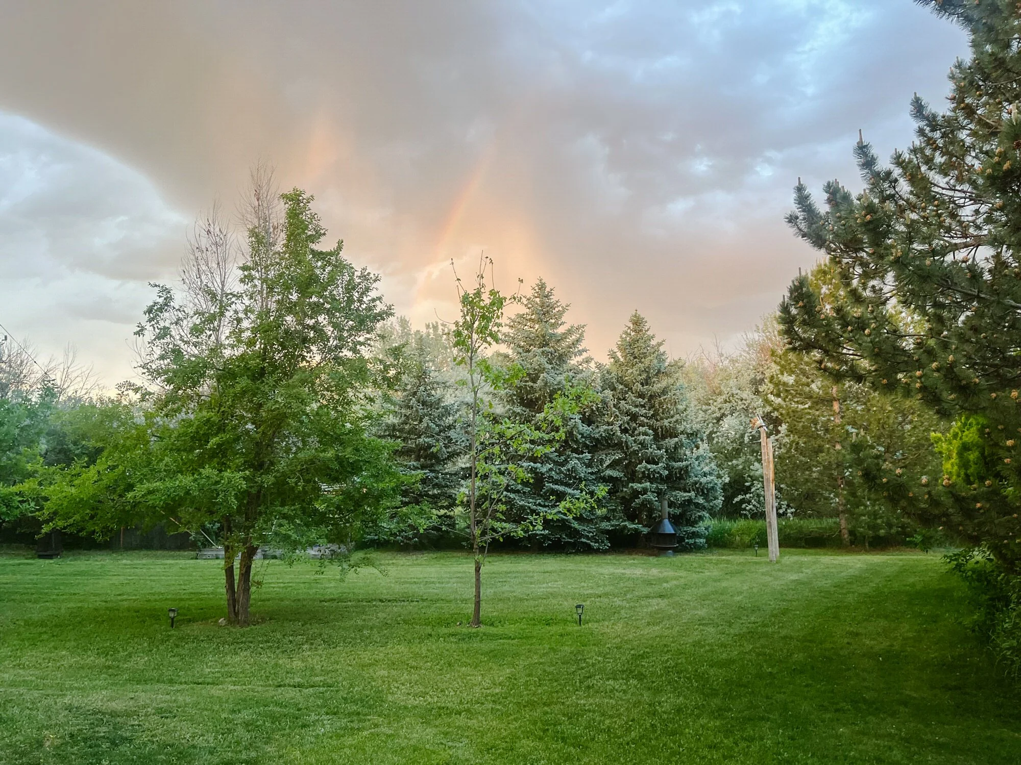 A backyard with green grass, several trees including pine trees, and a cloudy sky with a faint rainbow.