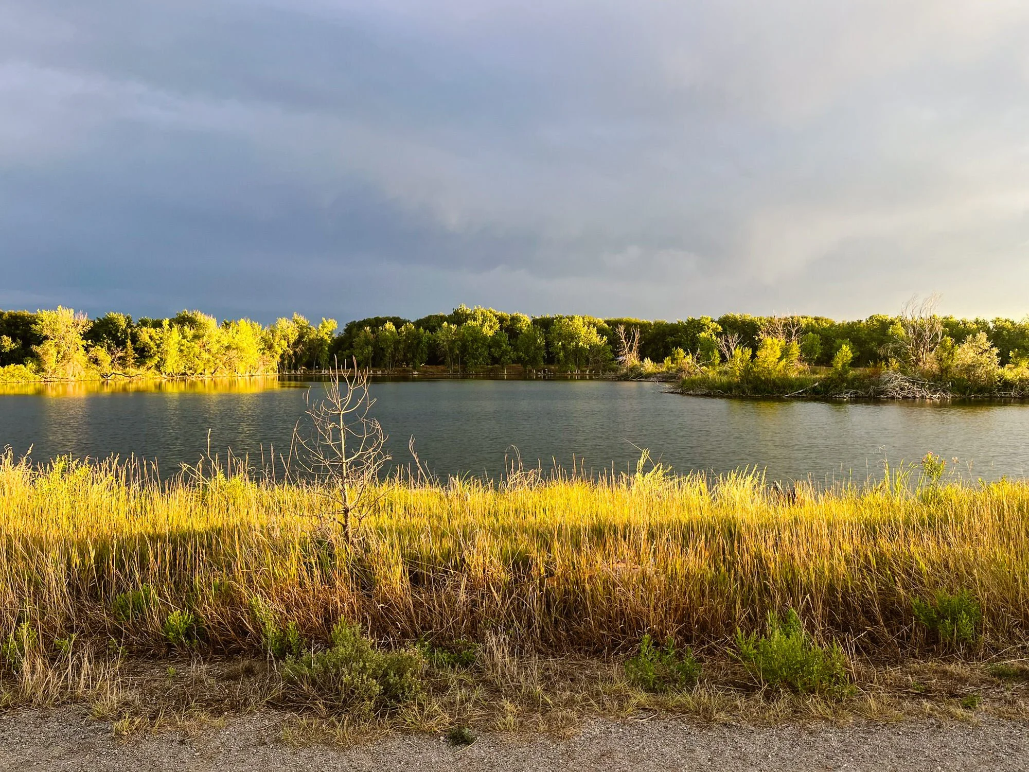 A river with trees along the banks, green foliage, and a cloudy sky with some sunlight breaking through.
