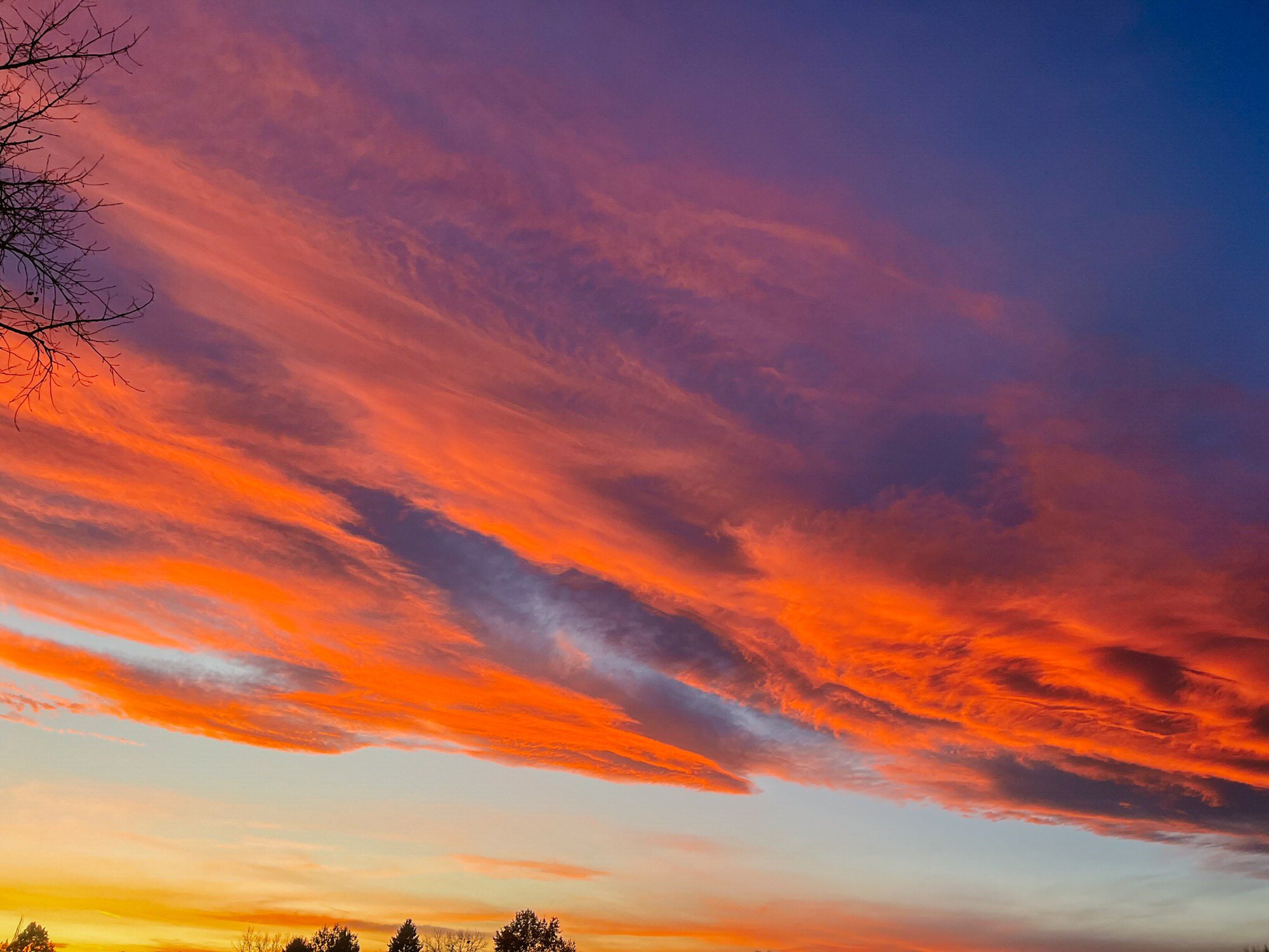 Colorful sunset sky with pink, orange, purple, and blue hues, and silhouettes of trees at the bottom.