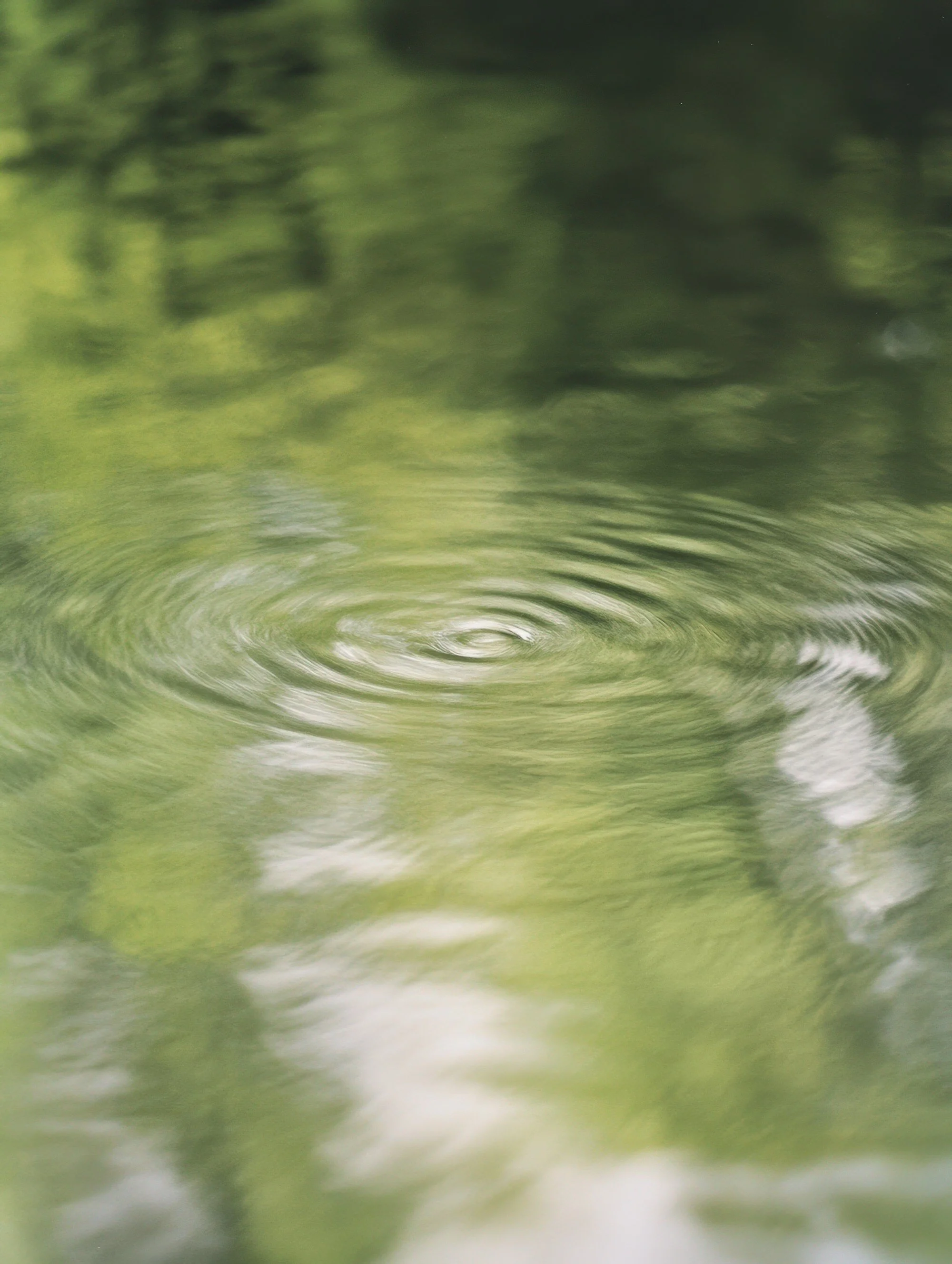 Close-up of water ripples in a greenish outdoor environment.