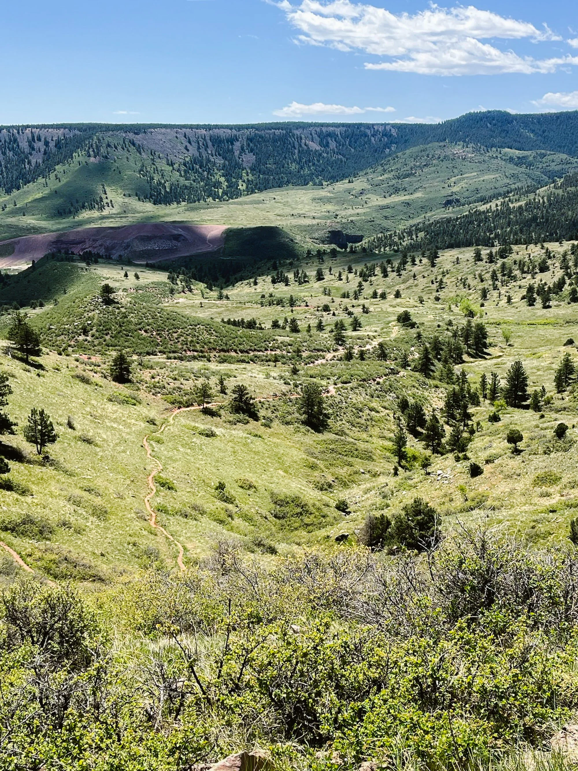 Scenic view of rolling green hills with scattered trees, a dirt trail, and distant mountains under a partly cloudy blue sky.