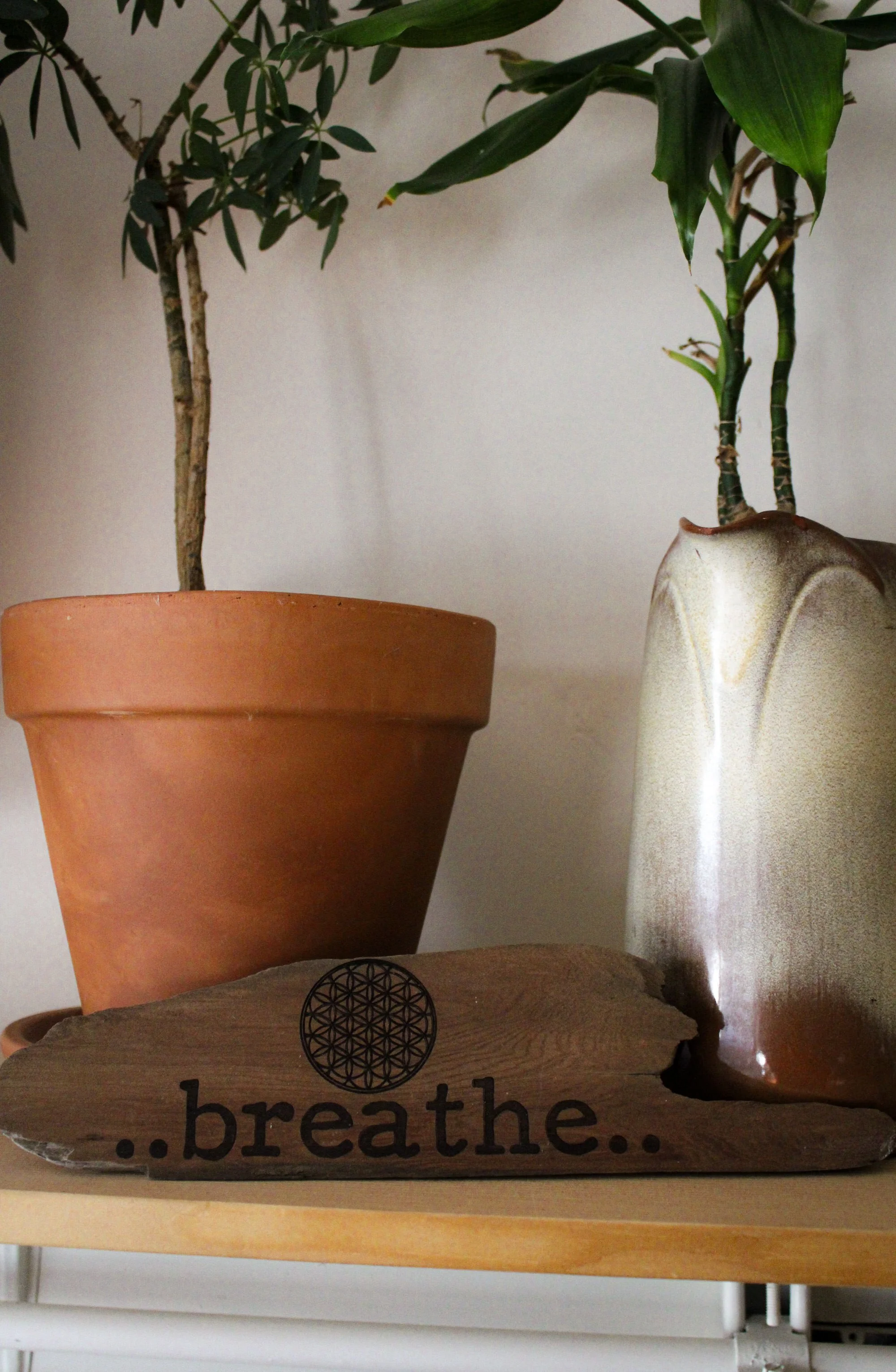 Close-up of various houseplants in pots, including a tall plant with green leaves and a bamboo plant. There is a decorative wooden sign with the words 'breathe...' and geometric patterns.