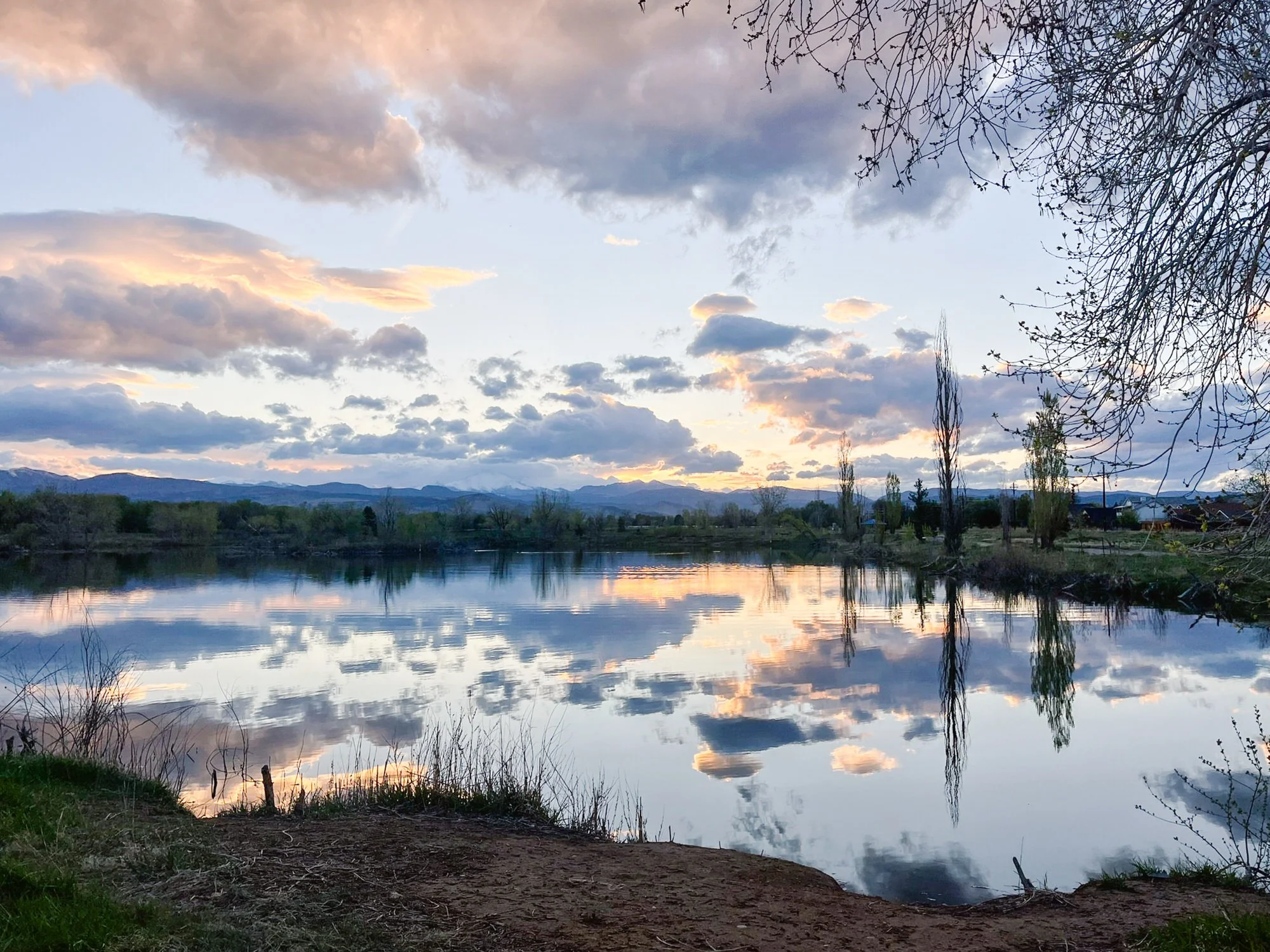 A tranquil lake reflects the cloudy sky during sunset, with trees and mountains in the background and bare branches in the foreground.