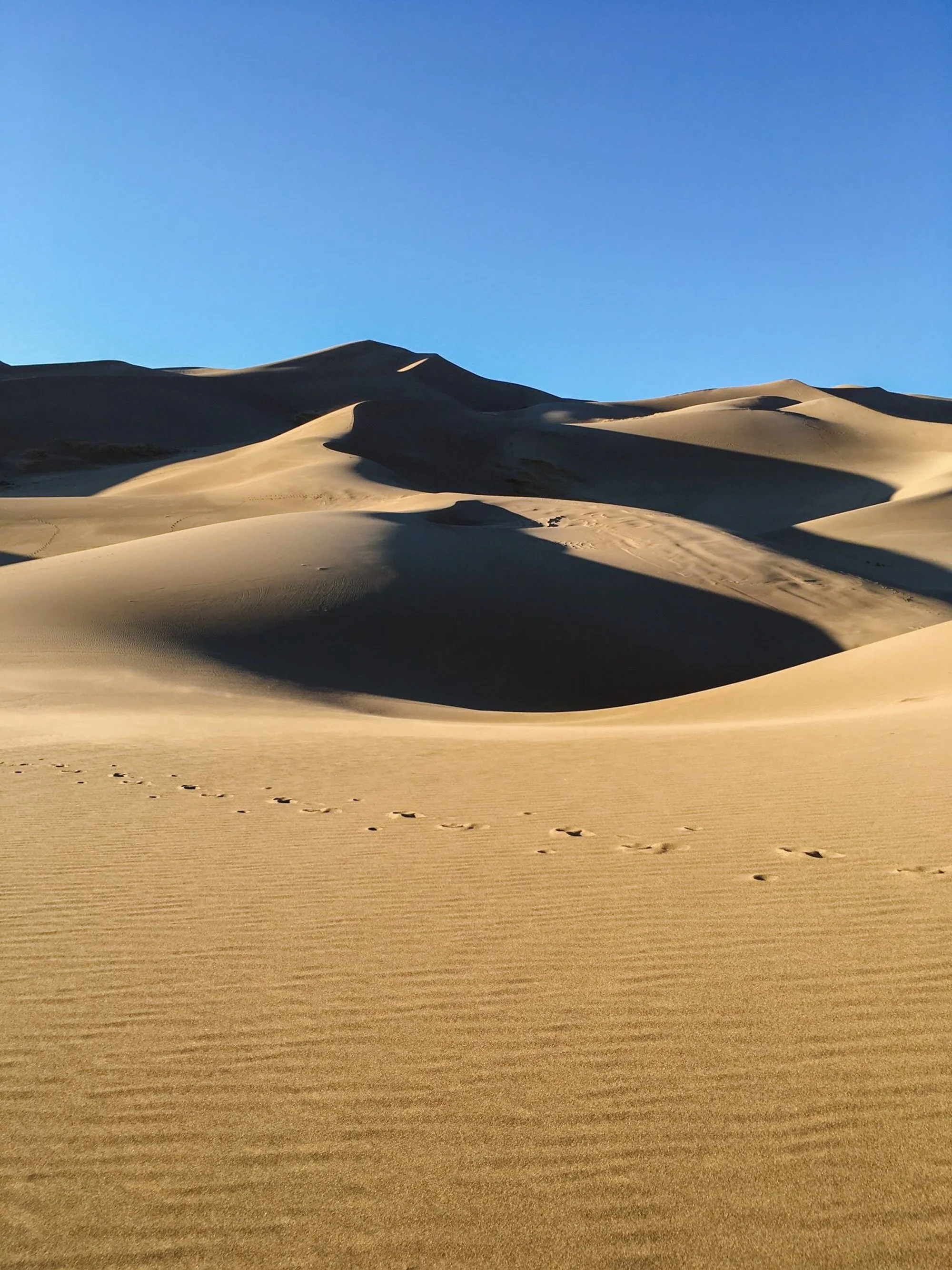 Sand dunes in a desert with a clear blue sky and footprints in the sand.