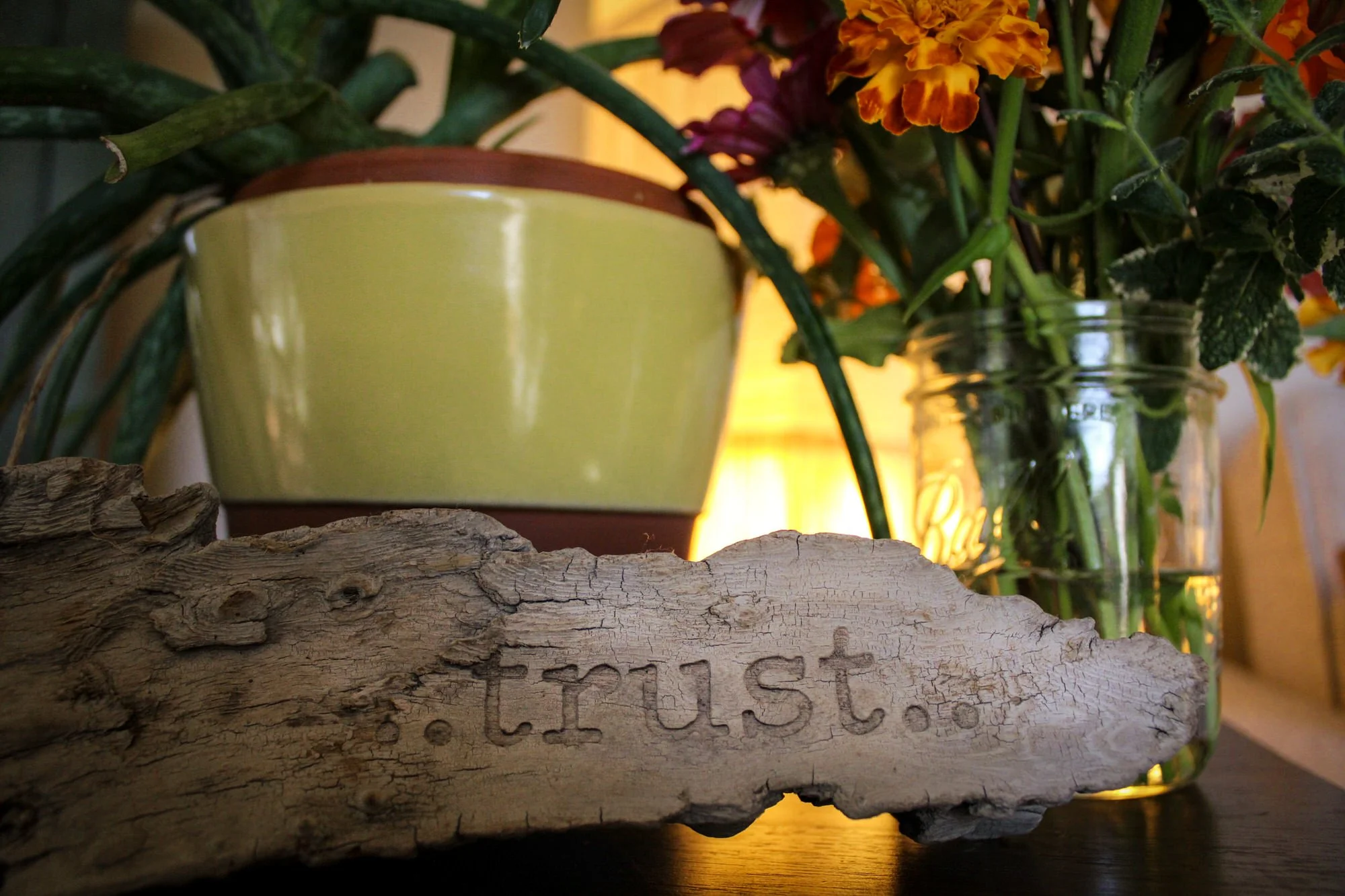 Close-up of a piece of weathered wood with carved letters, placed on a dark surface, with a background of green plants and orange flowers illuminated by a warm light.
