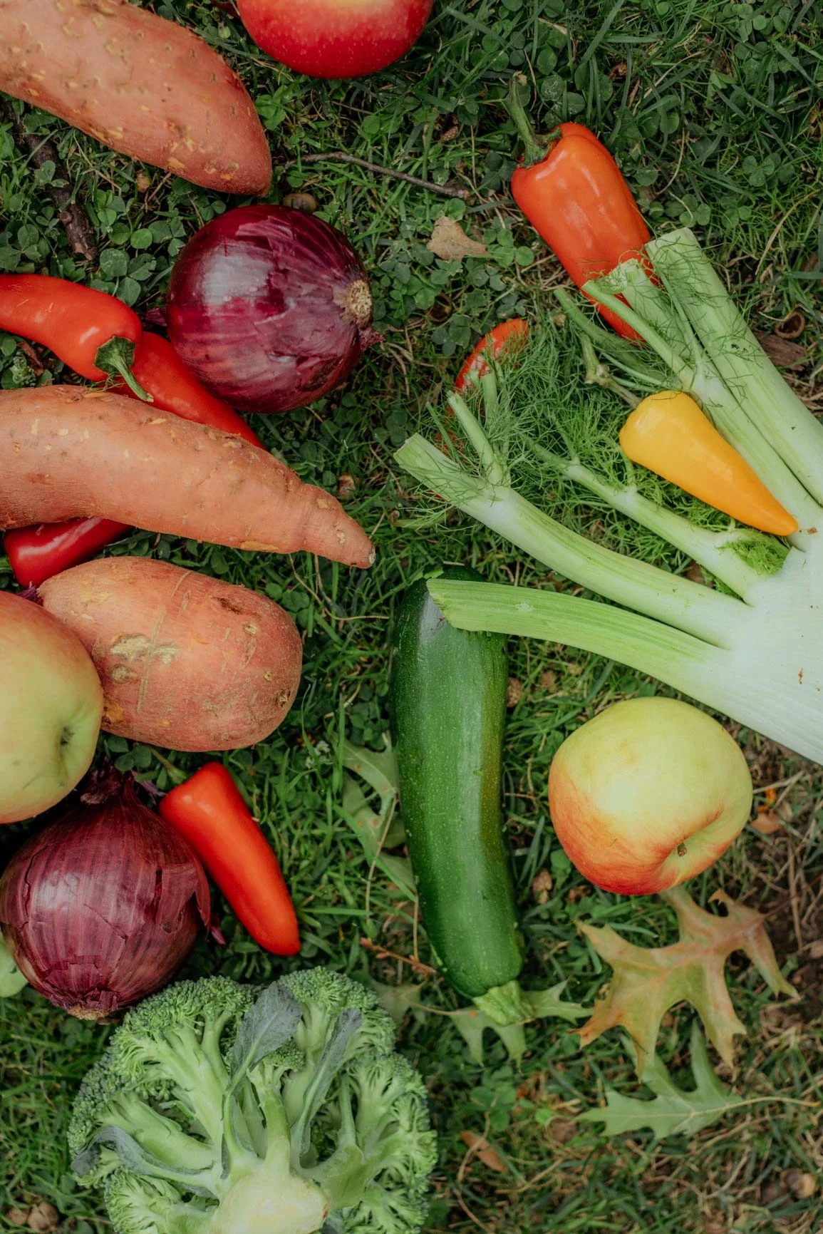 Fresh Takes – Pay It Forward