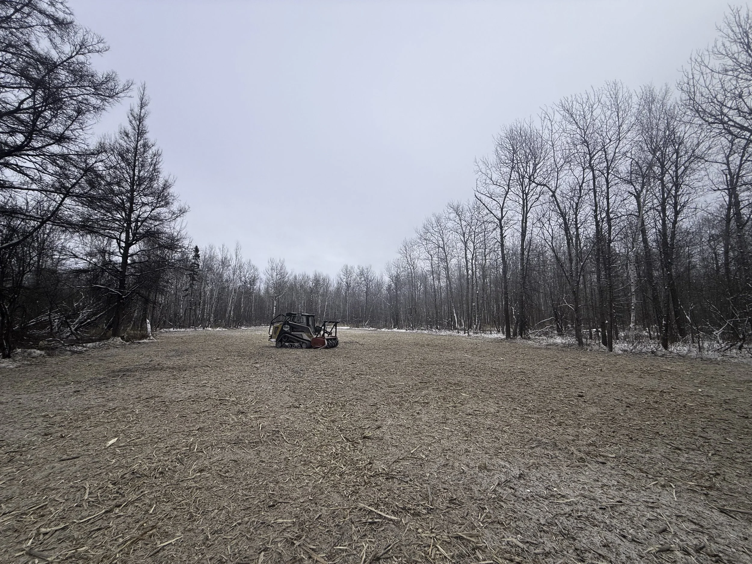 A cleared outdoor area with a small tracked vehicle and a red snowblower in the middle, surrounded by leafless trees under an overcast sky.