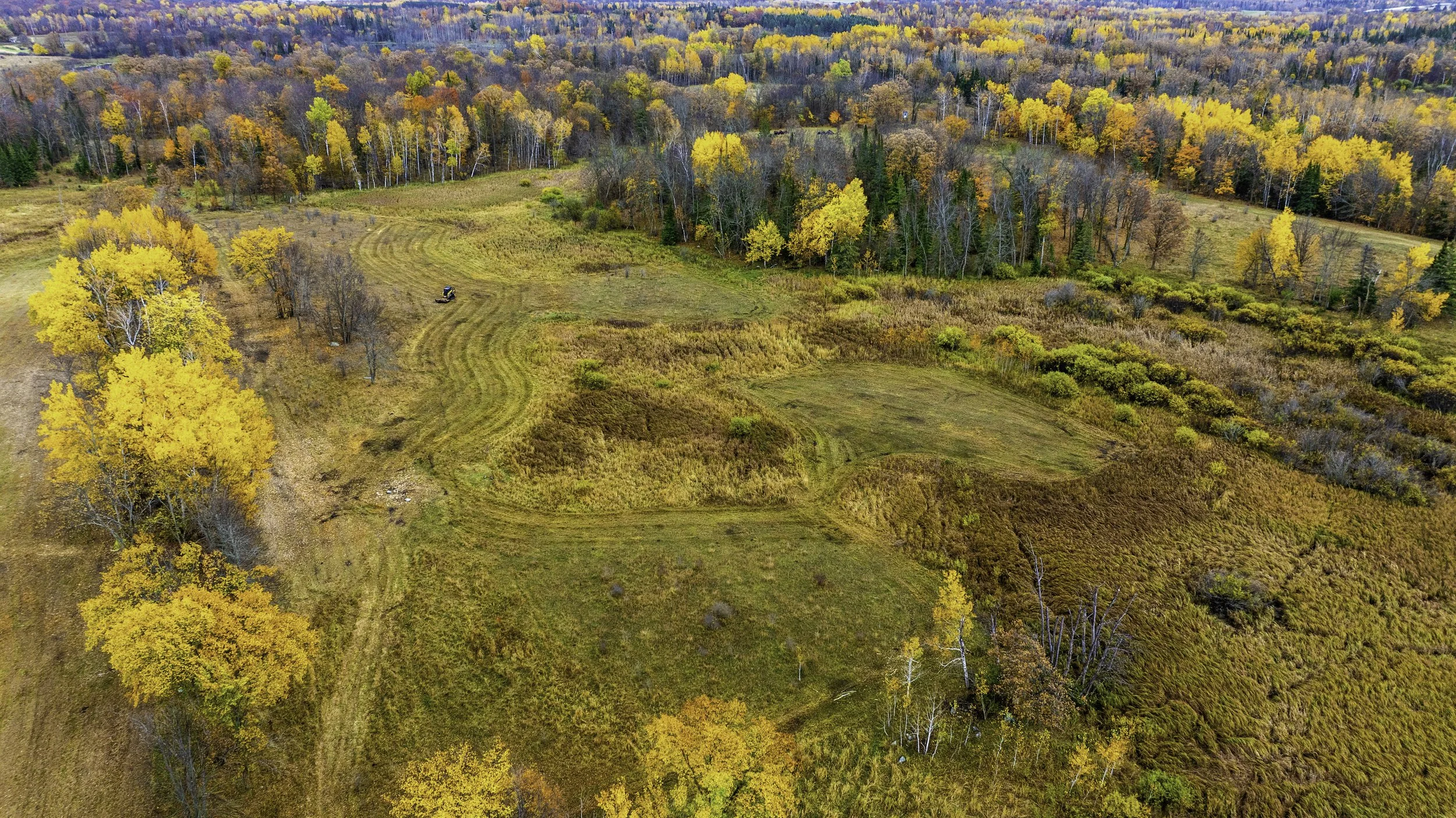 Aerial view of a colorful autumn landscape featuring a mix of deciduous trees with yellow and orange leaves, open grassy fields, and patches of shrubbery.