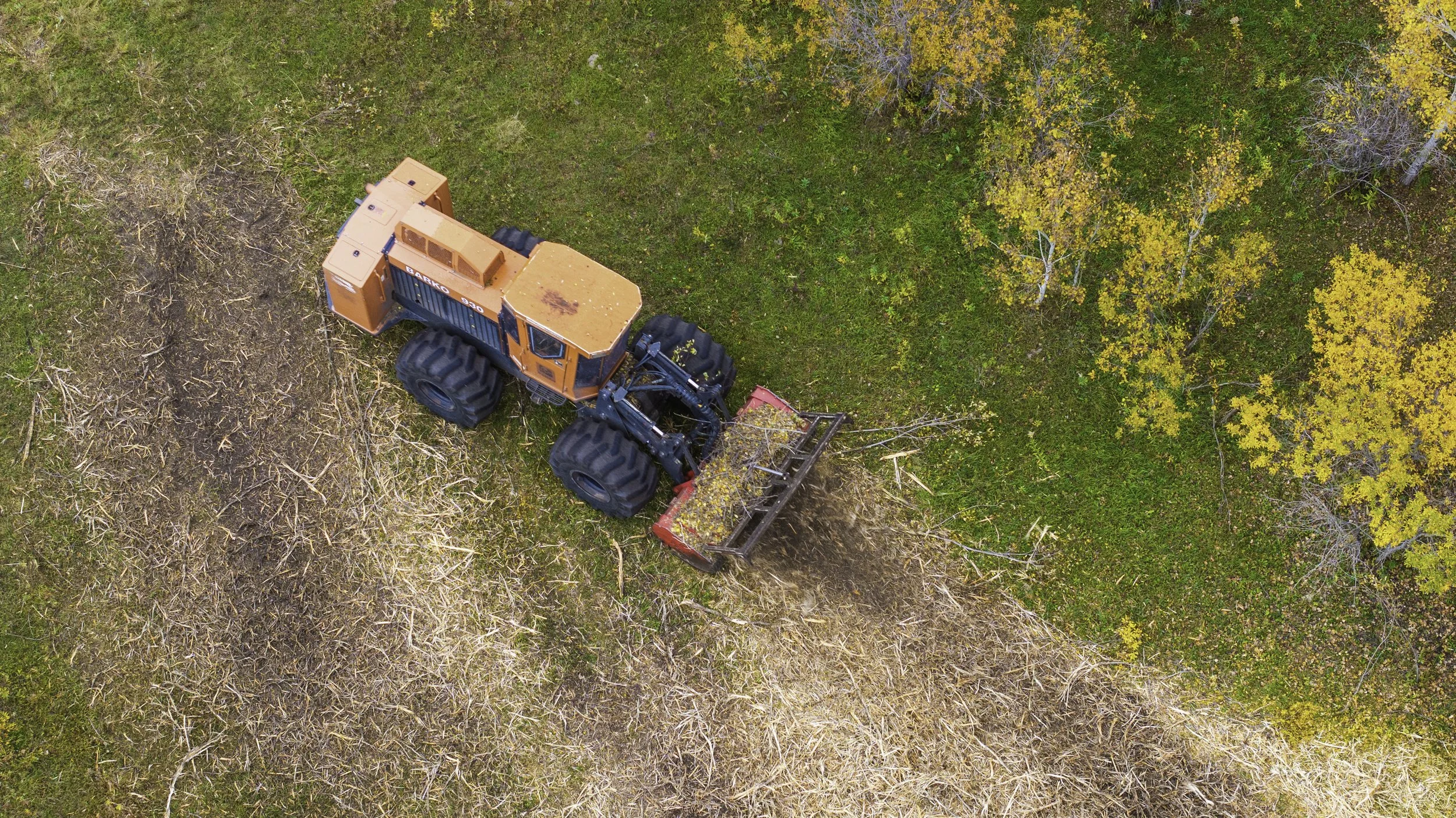 An orange bulldozer clearing land with trees showing yellow and green leaves in the background.