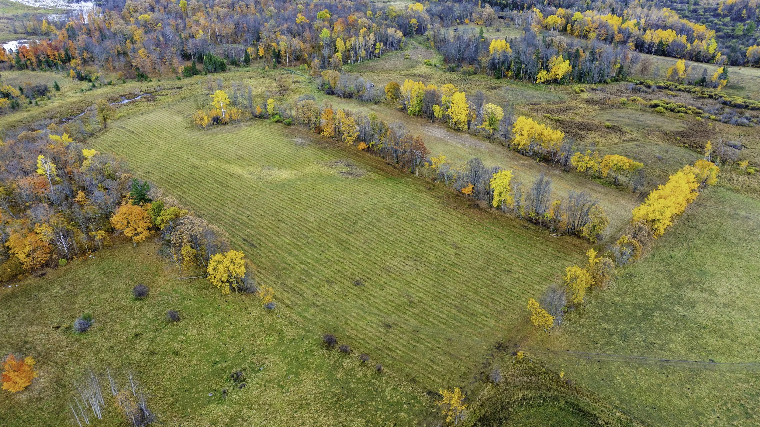 An aerial view of a large, rectangular grassy field surrounded by trees with autumn foliage in shades of yellow, orange, and brown, and additional fields and wooded areas in the background.