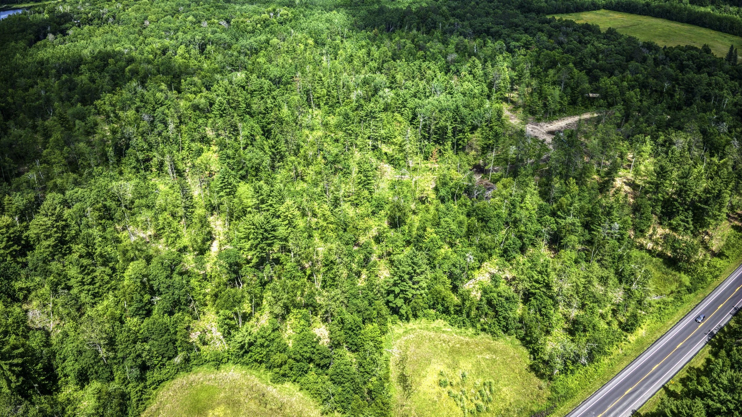 Aerial view of a dense green forest next to a paved two-lane road with a car driving on it.