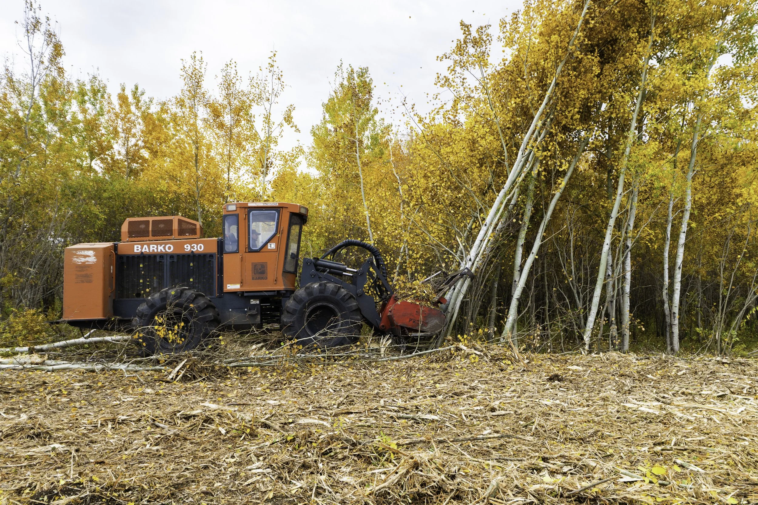 A piece of orange forestry equipment with black tires in a forest during autumn, cutting down a tree surrounded by yellow and orange leaves.