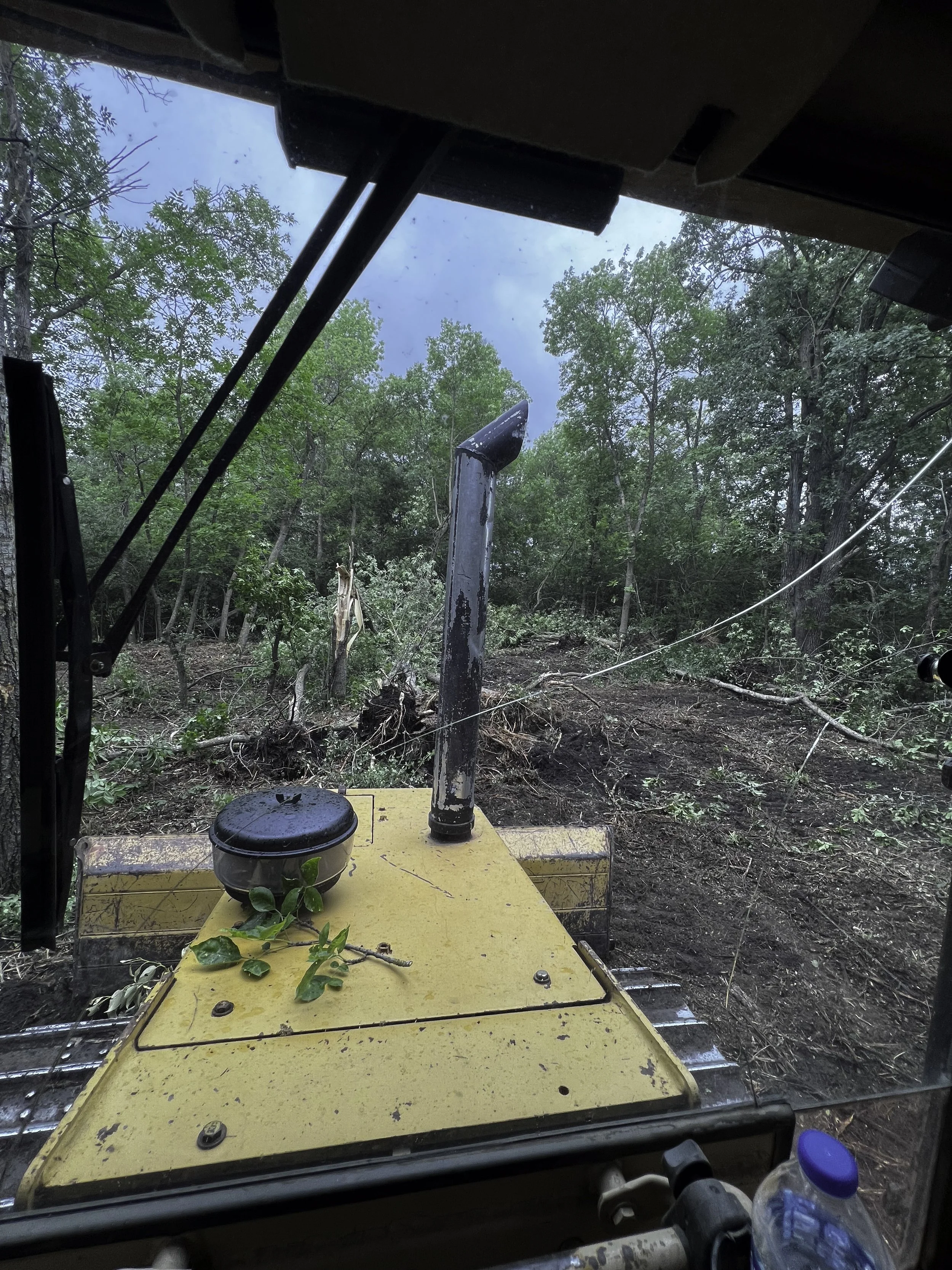 Inside view of a bulldozer working on a forest clearing, showing the front blade with some plant debris and a branch, surrounded by greenery and trees, with a partly cloudy sky in the background.