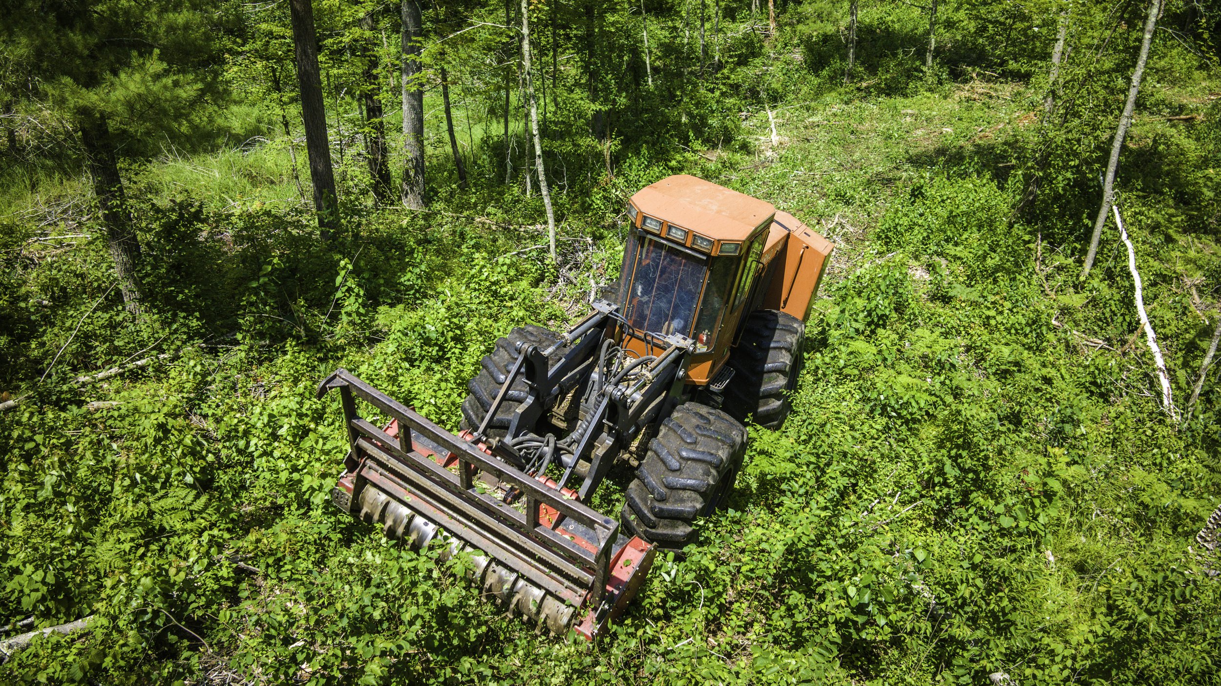 An orange forestry tractor with large black tires operating in a dense green forest, equipped with a brush cutter attachment.