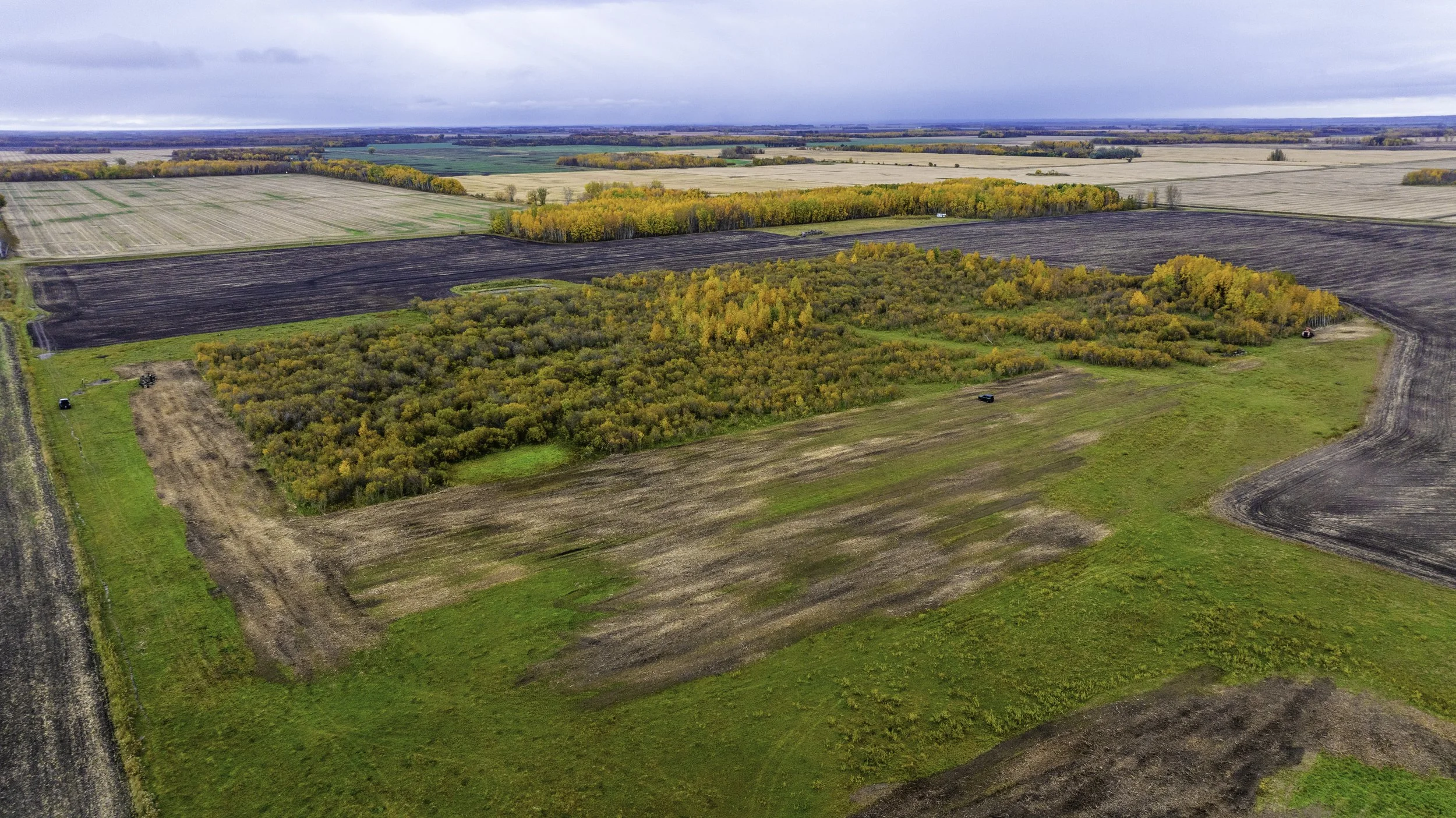 Aerial view of farmland with patches of green grass, brown fields, and a forested area with yellow and orange trees, under a cloudy sky.