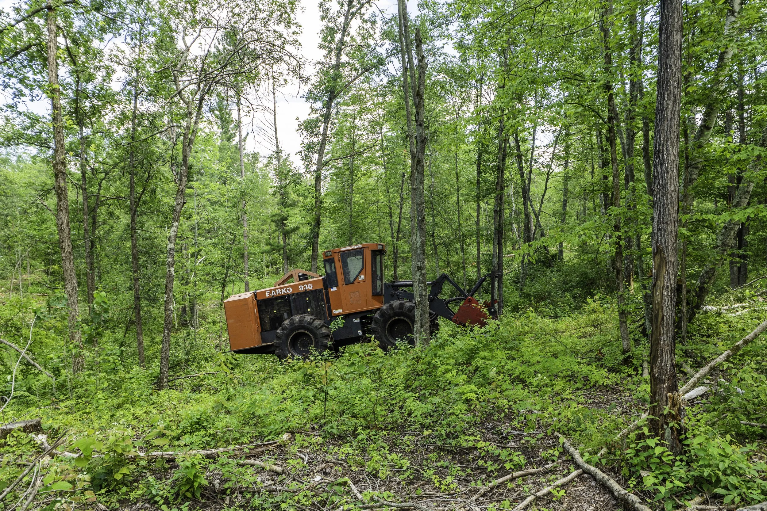 Orange forestry bulldozer working on a wooded hillside surrounded by green trees and undergrowth.