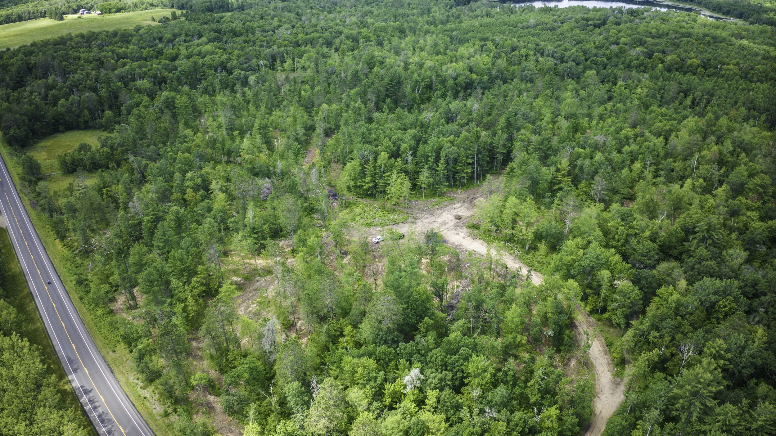 Aerial view of a lush green forest with a dirt road running through it. On the left side, a paved road with a few cars is visible.
