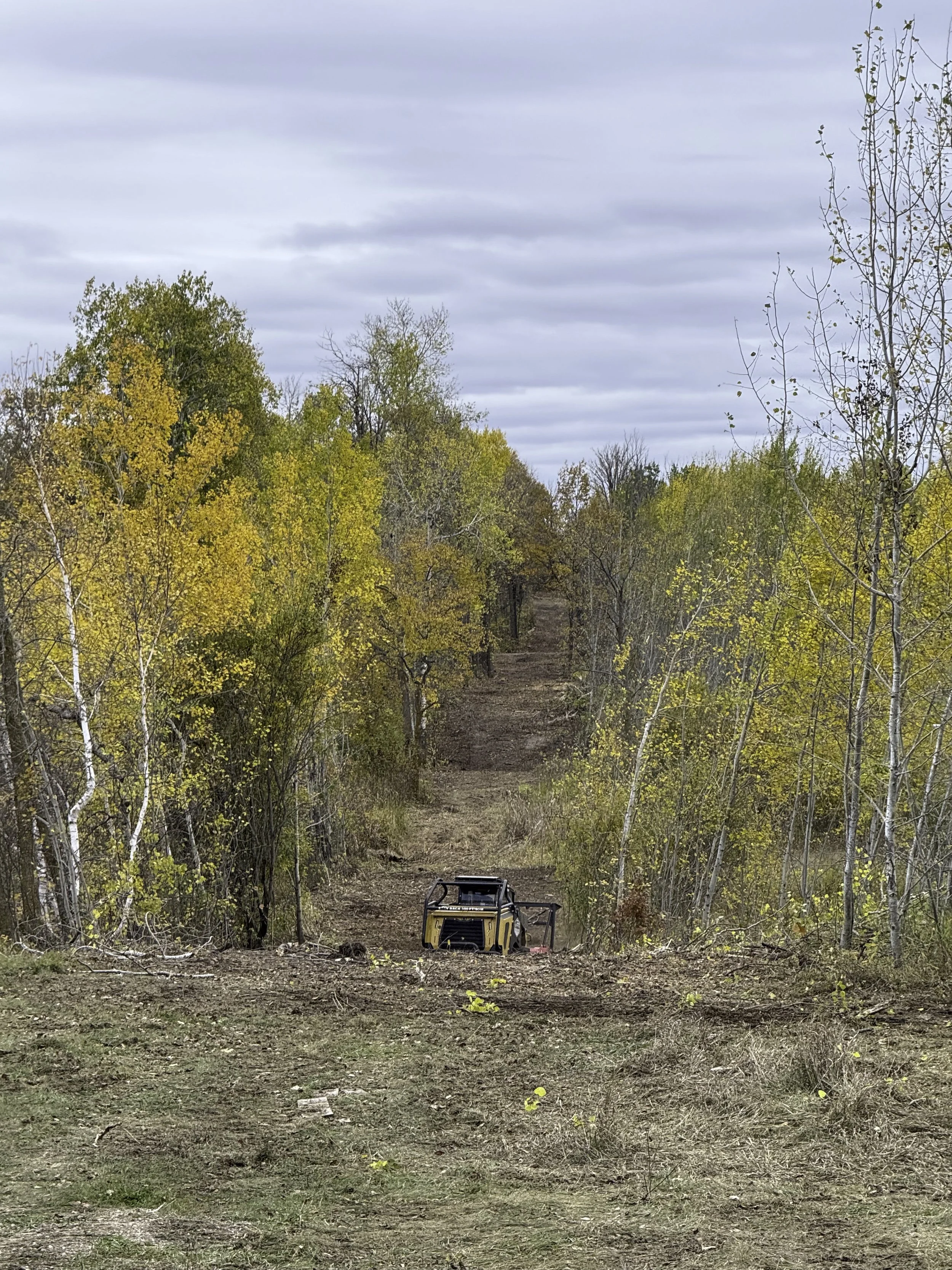 A dirt trail through a wooded area with yellow and orange autumn trees on both sides and a small yellow construction vehicle parked on the path.