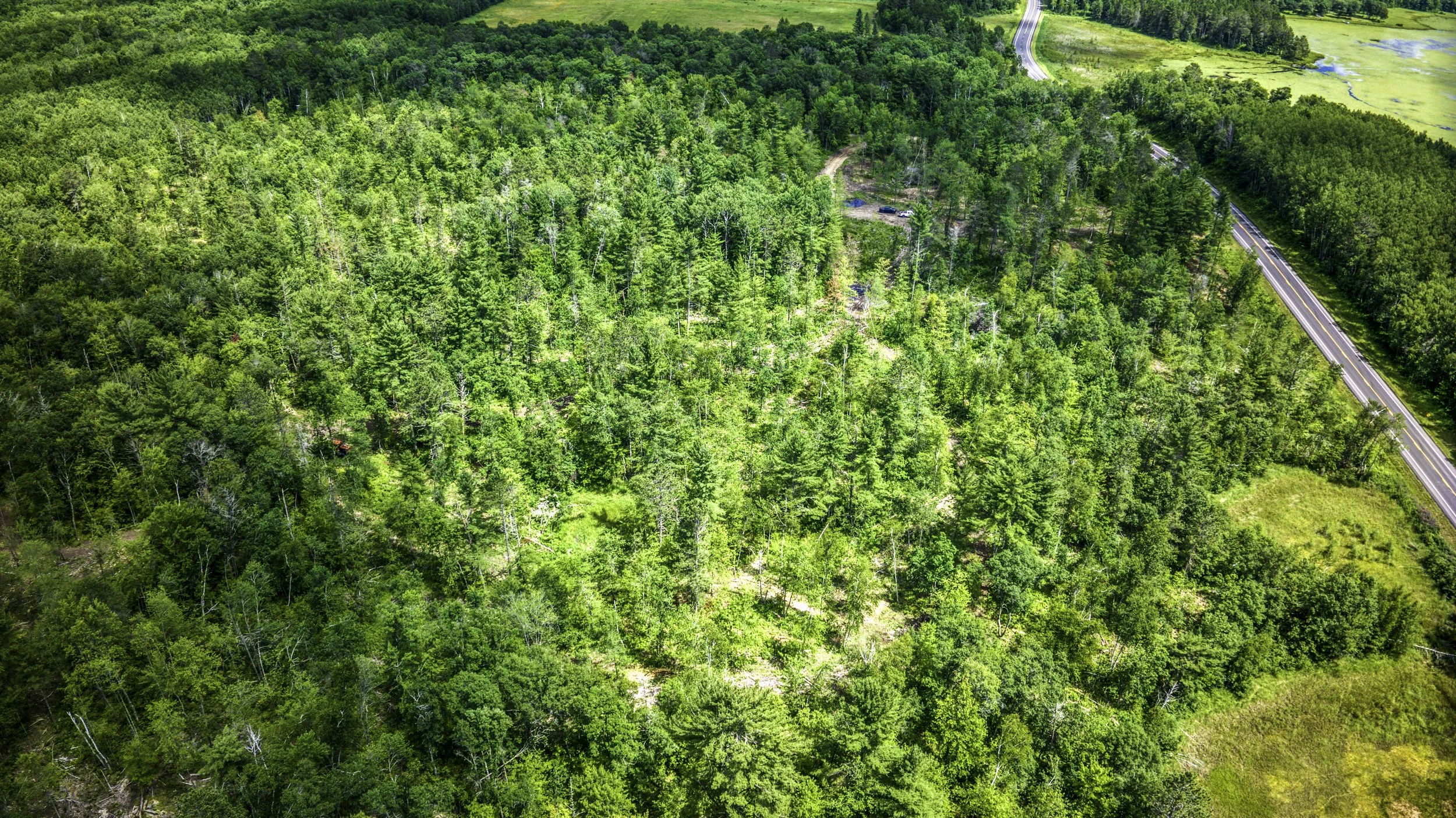Aerial view of a dense green forest with a winding road on the right side.