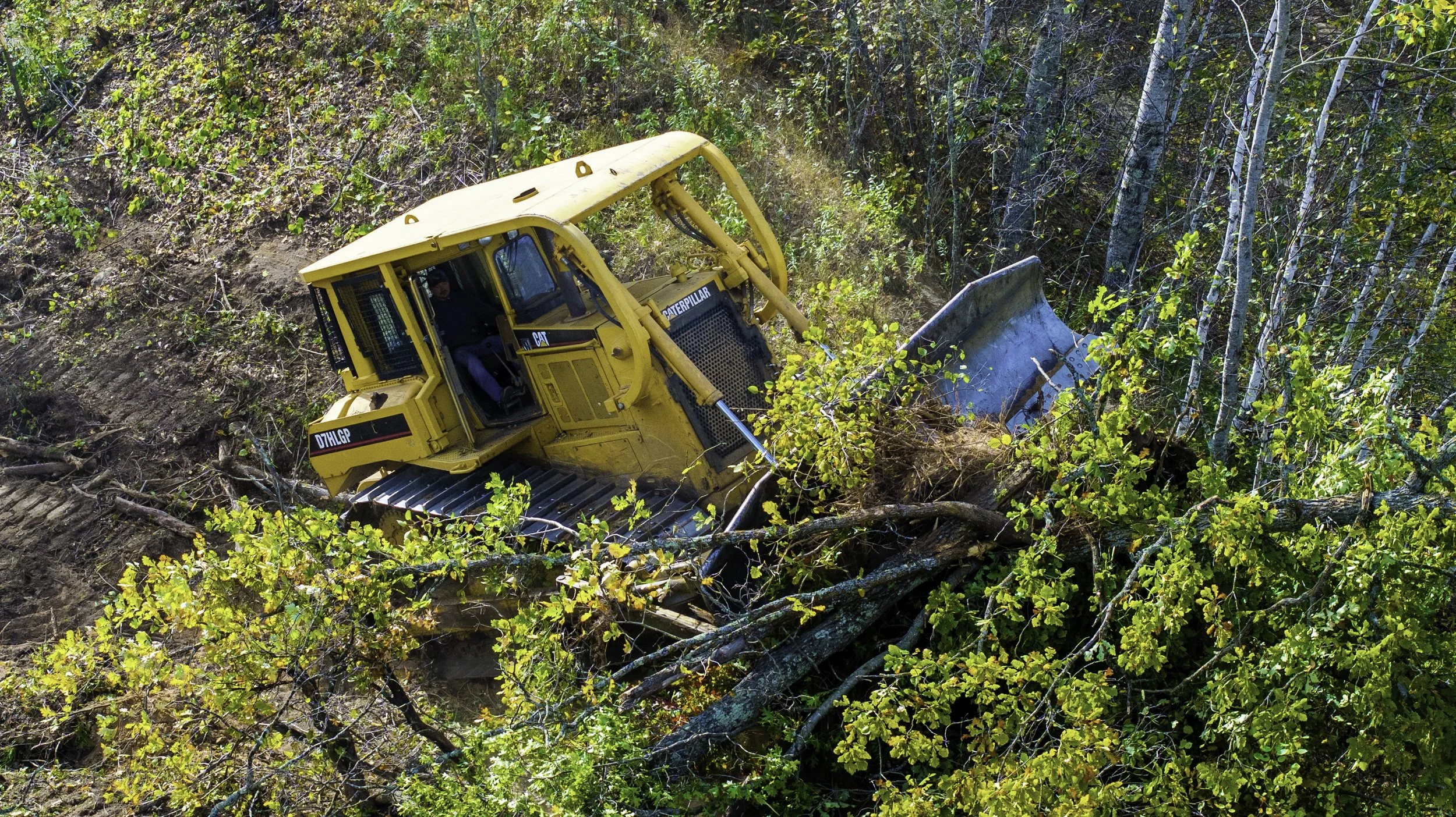 A yellow Caterpillar bulldozer clearing fallen trees on a wooded hillside.