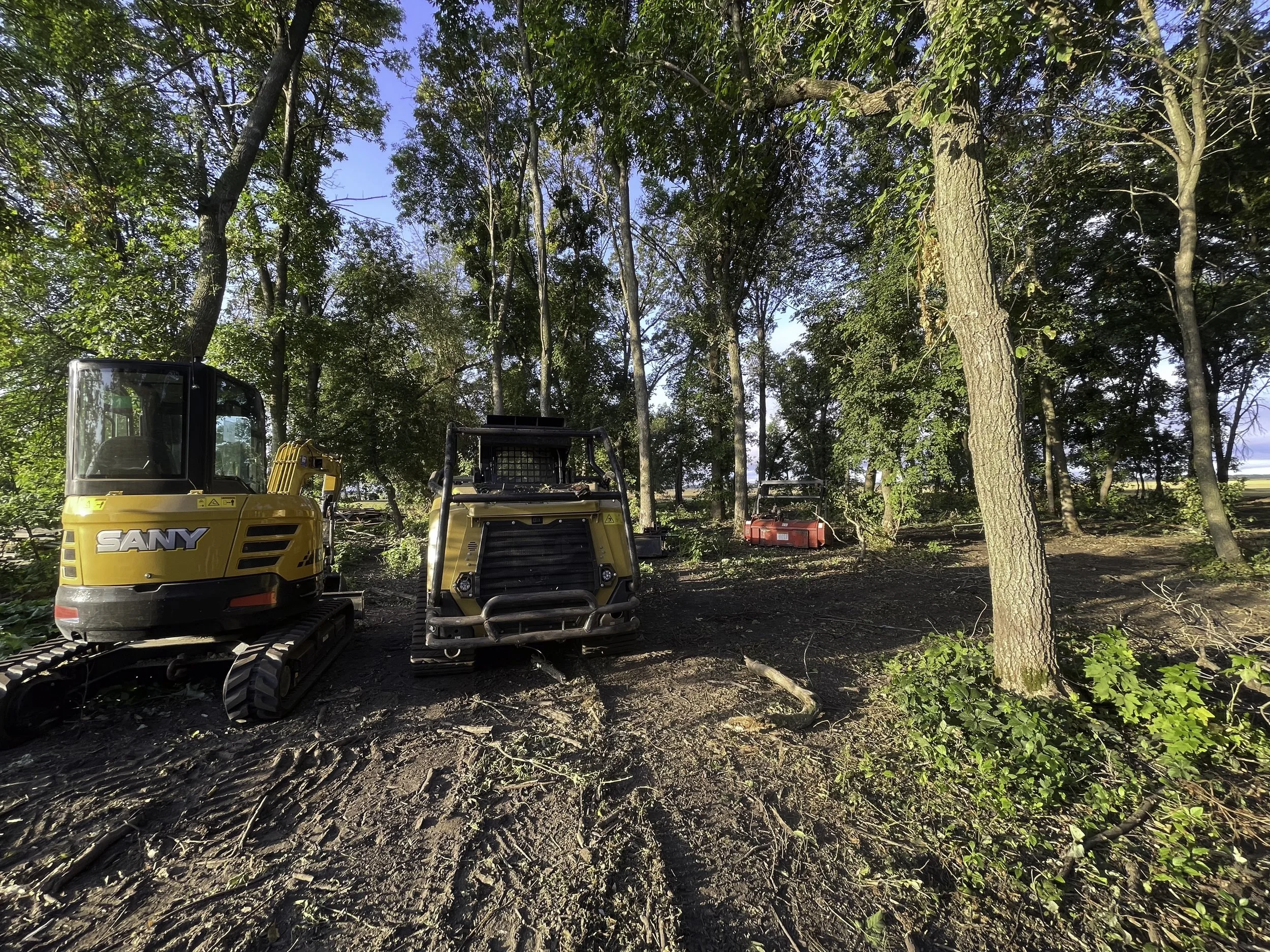 Construction site in a forest with two yellow excavators and a red piece of equipment among trees.