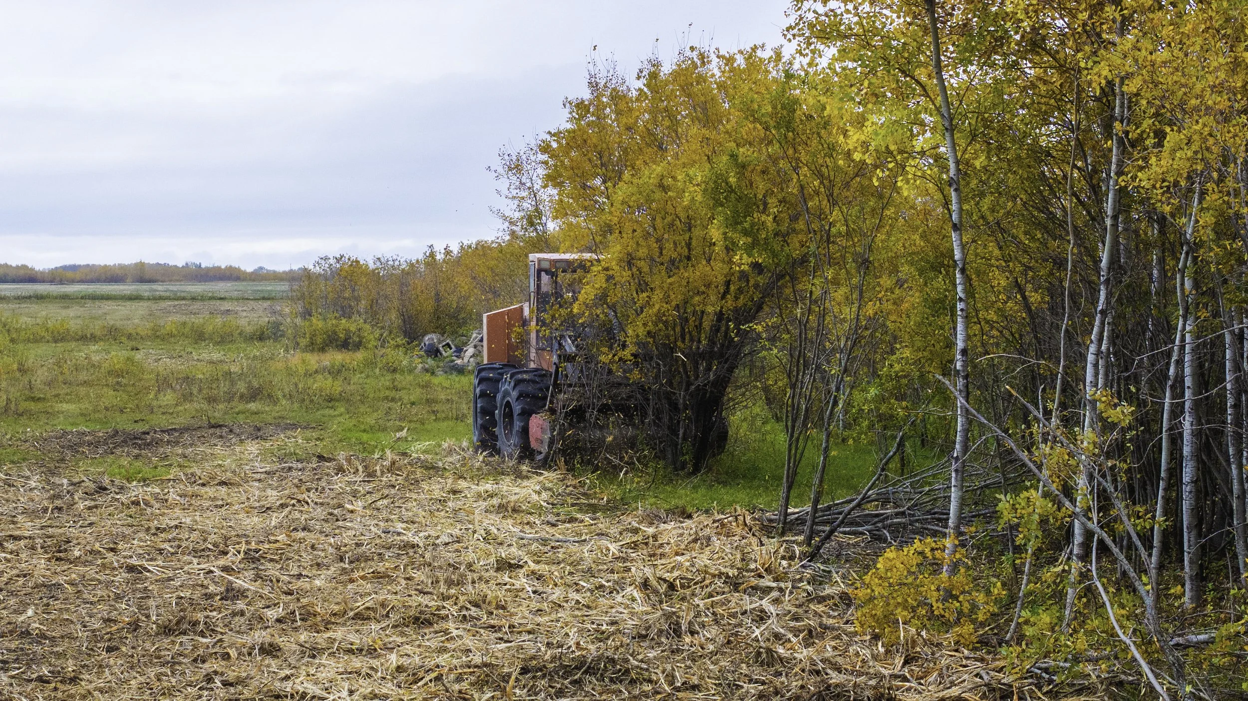 A tractor in a field with trees showing fall foliage in the background.