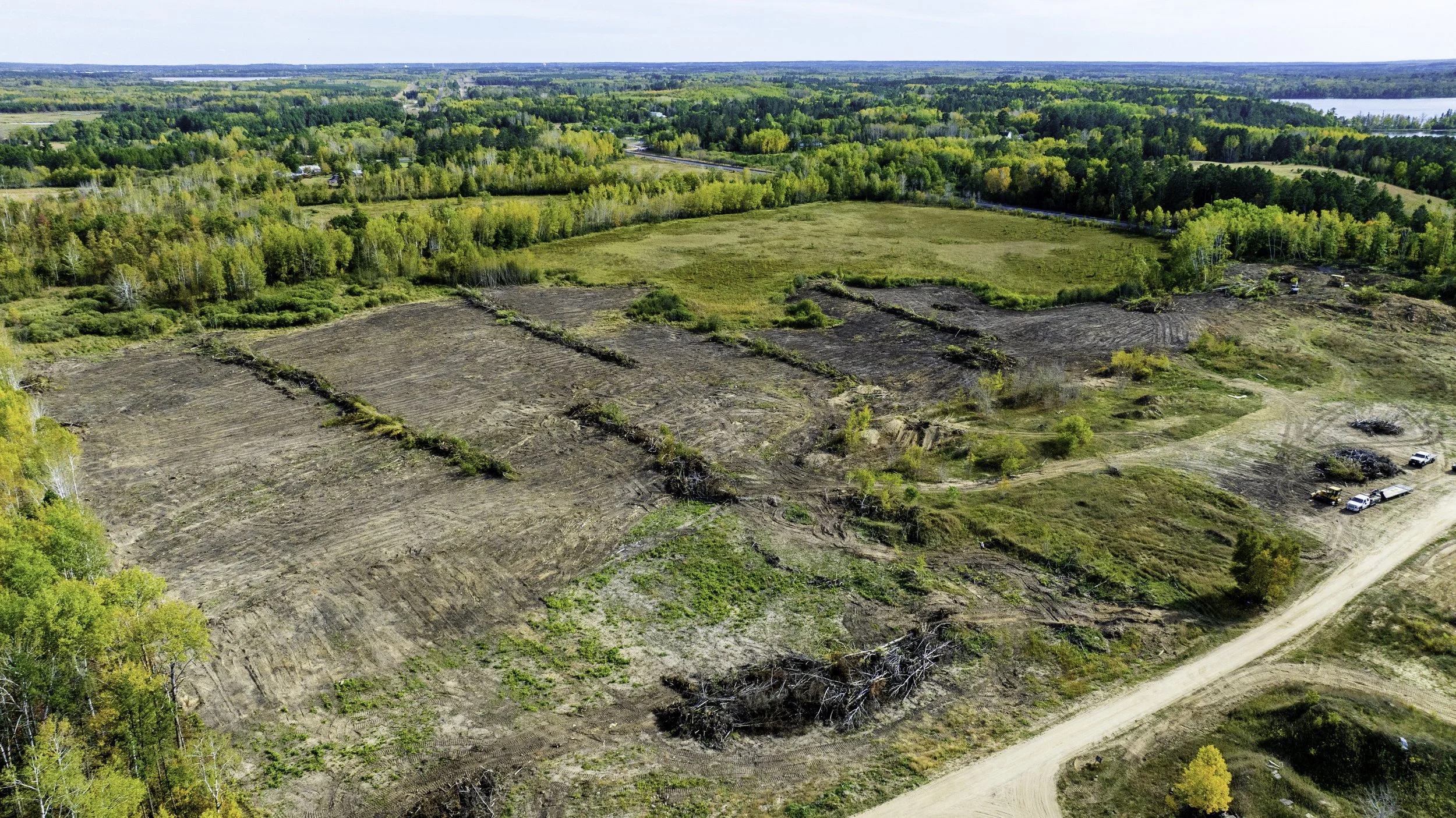 Aerial view of a landscape showing several cleared land plots with some trees and bushes, surrounded by dense forest and a distant body of water on the horizon.