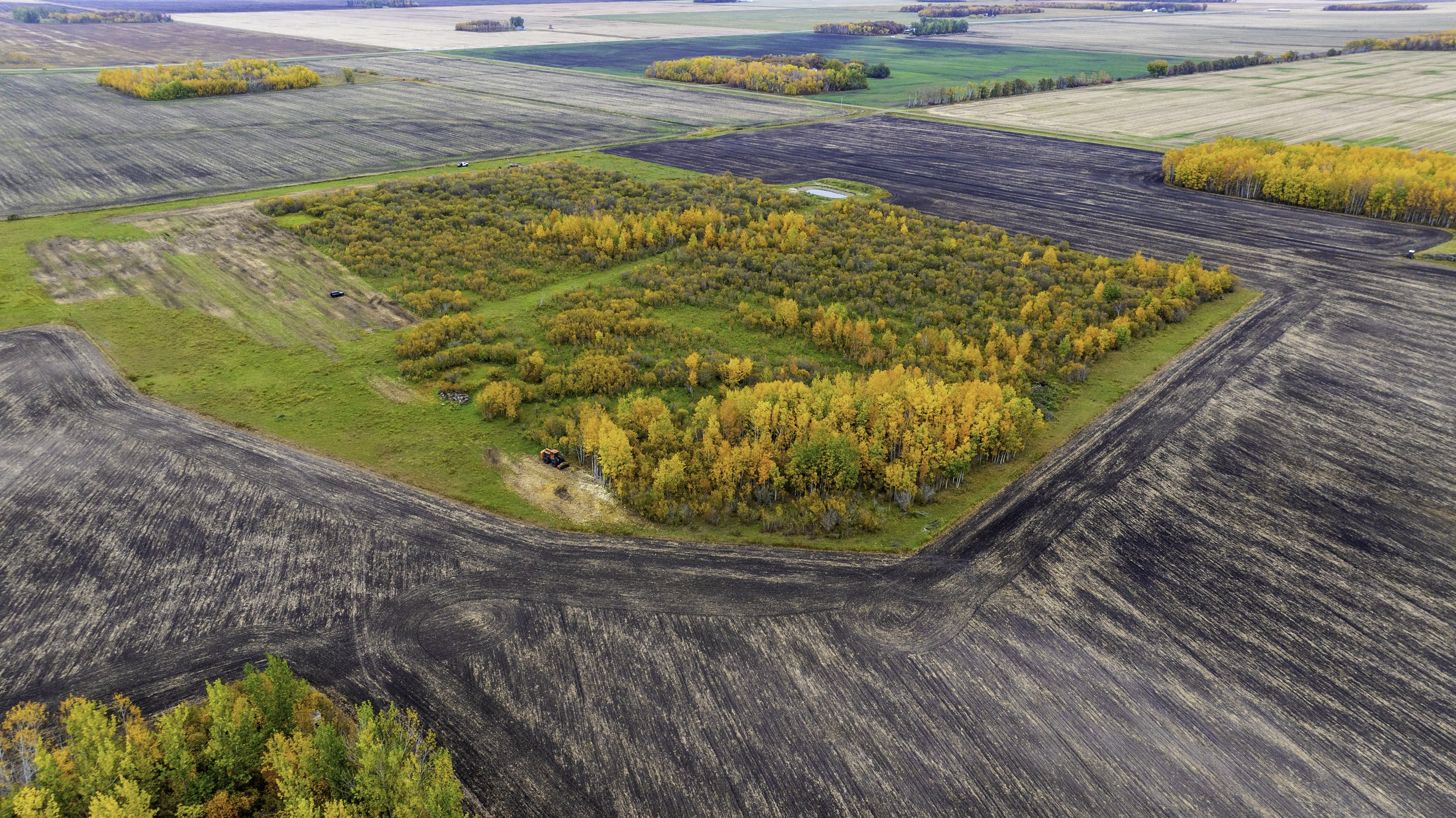 An aerial view of a farmland with patches of forest showing fall colors, surrounded by plowed and unplowed fields.
