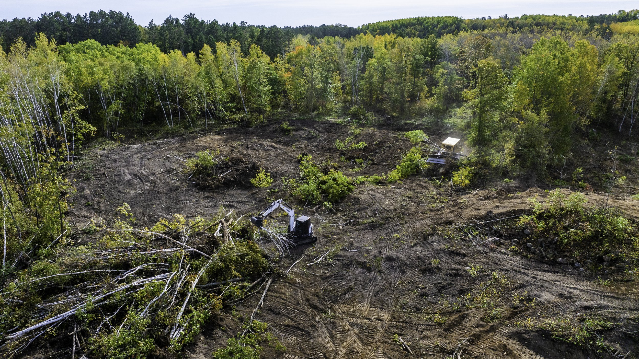 Aerial view of deforested land with bulldozer and logging equipment, surrounded by a forest with autumn-colored trees.