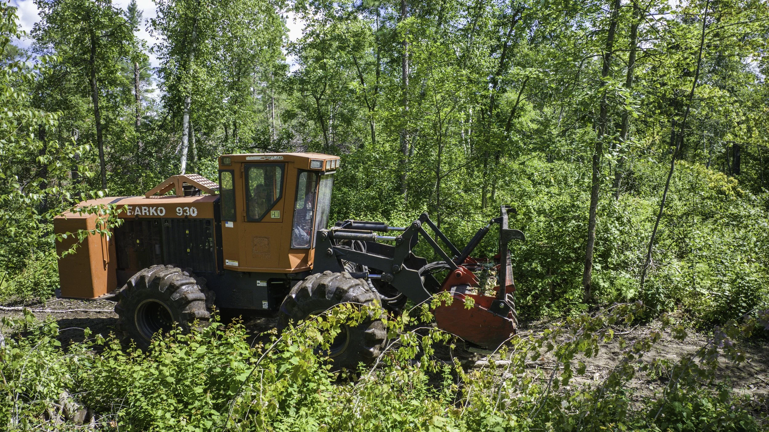 Orange bulldozer working in a forest clearing surrounded by green trees and bushes.