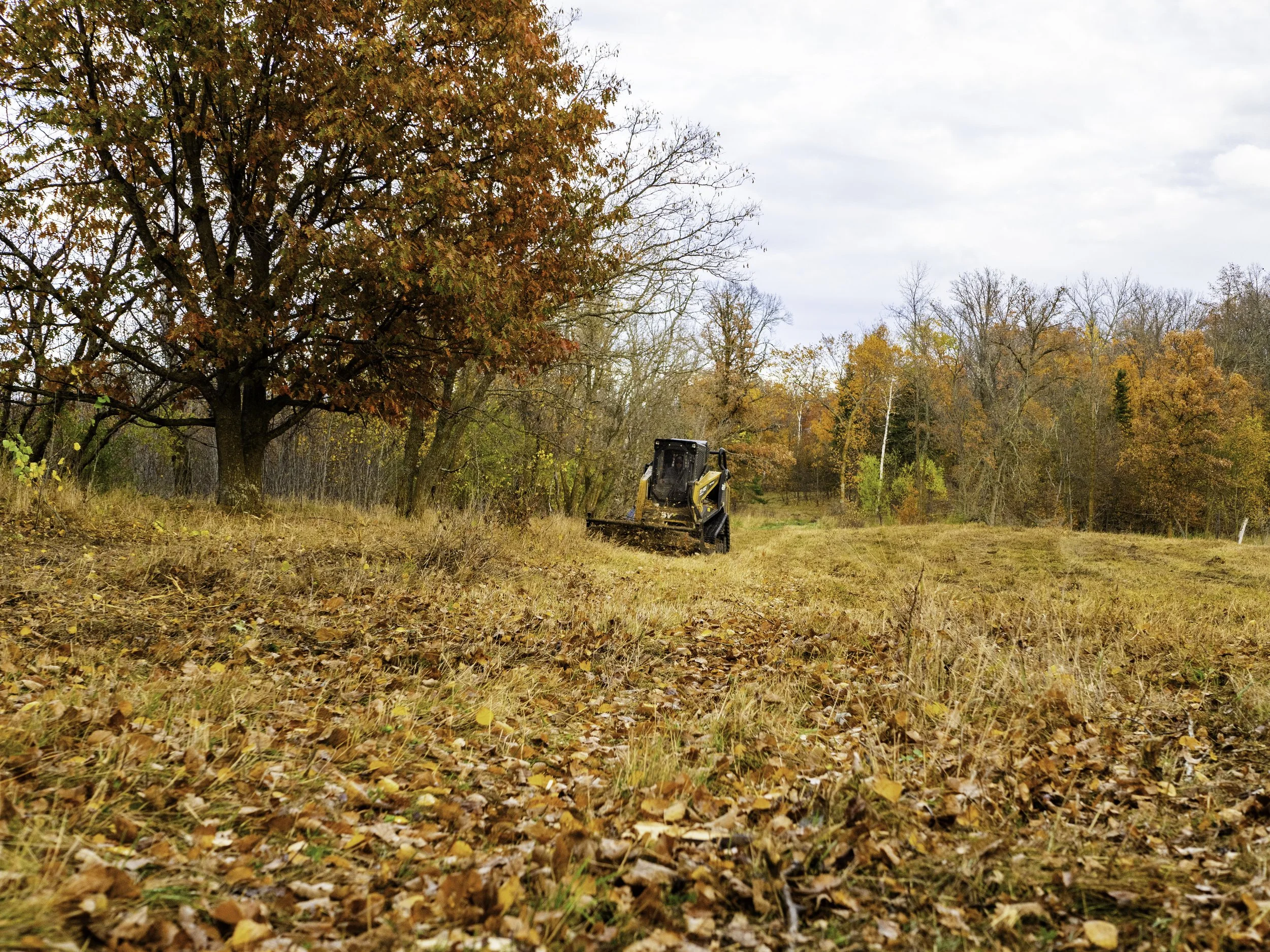 Autumn scene with trees showing fall foliage and a small bulldozer working on a grassy field covered with fallen leaves.