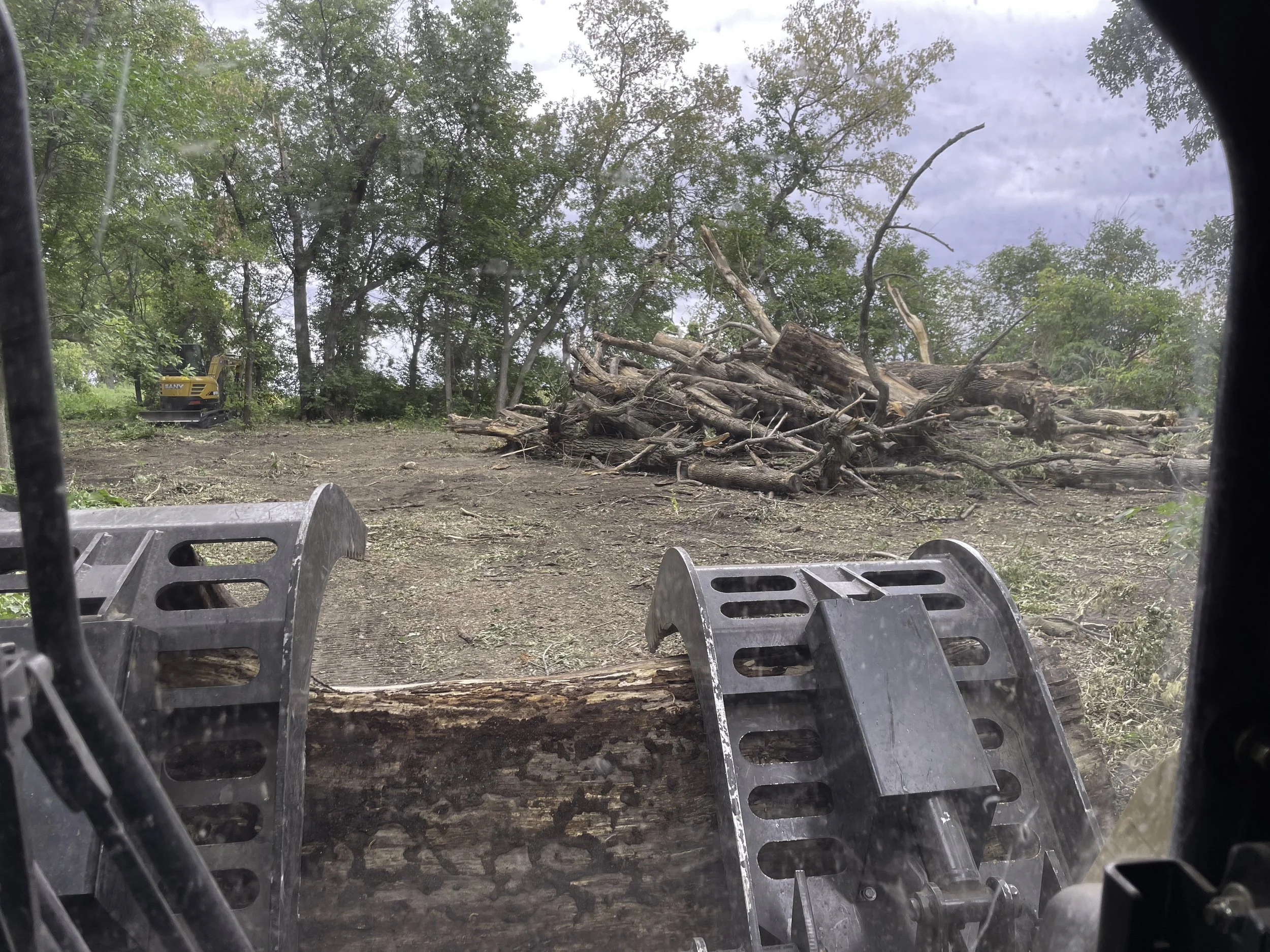 View from a logging machine showing a pile of cut logs and tree branches in a forest clearing, with trees and a cloudy sky in the background.