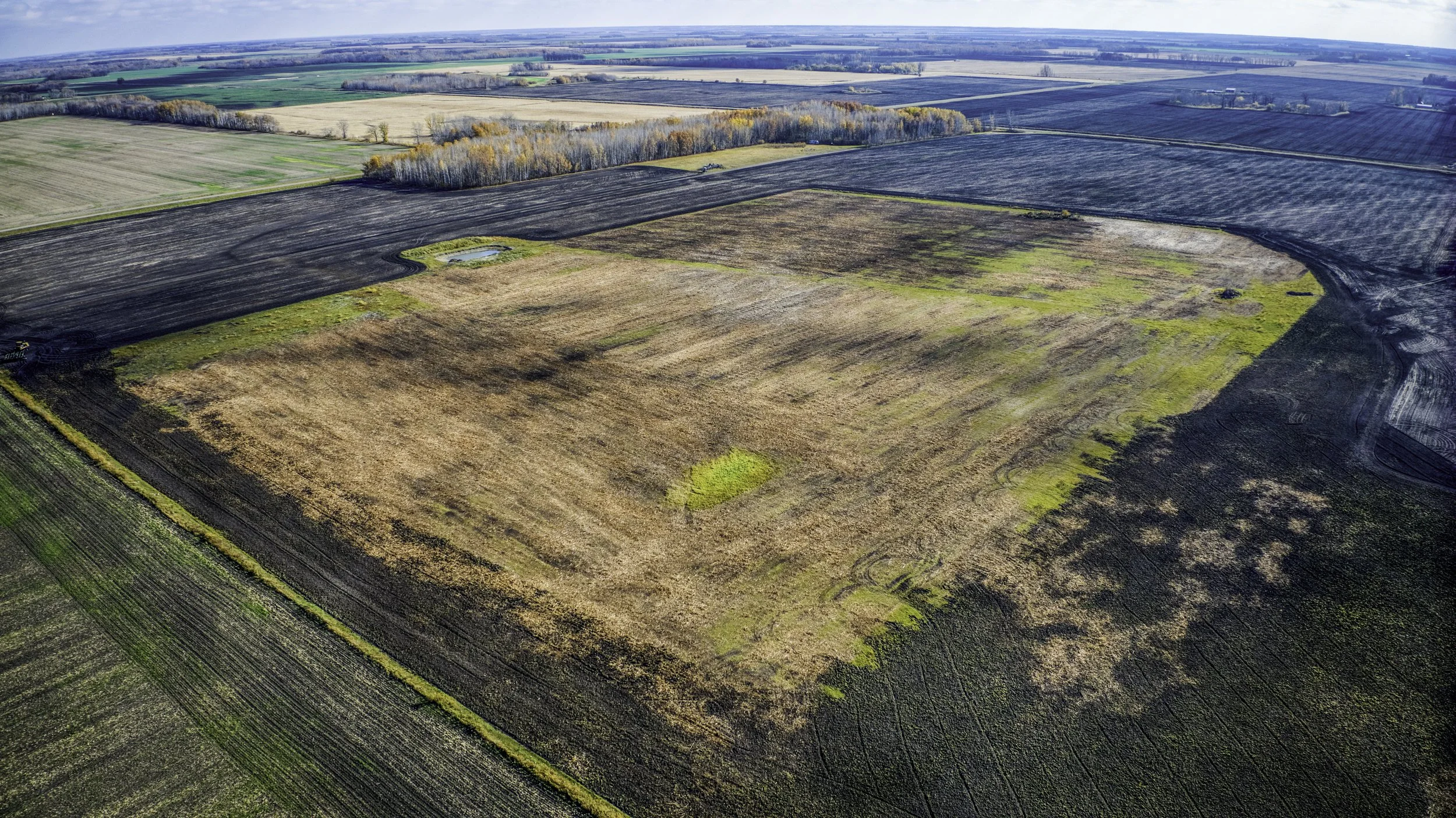 Aerial view of a large farmland with sections of black and brown soil, some green patches, surrounded by other agricultural fields and a tree-lined area.