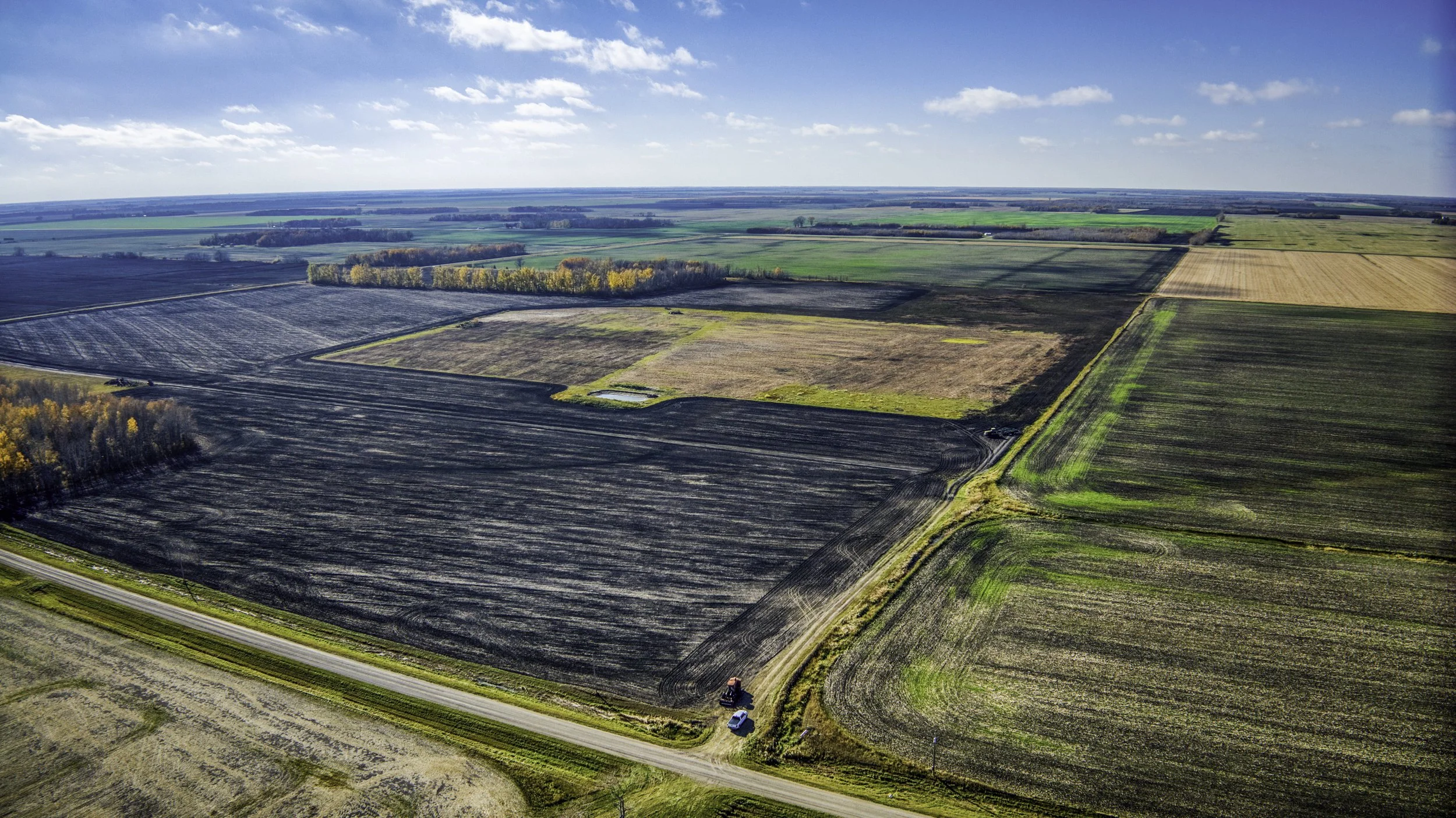 Aerial view of farmland with fields in various stages of crop growth, some freshly plowed and others with green vegetation, under a clear blue sky with scattered clouds.