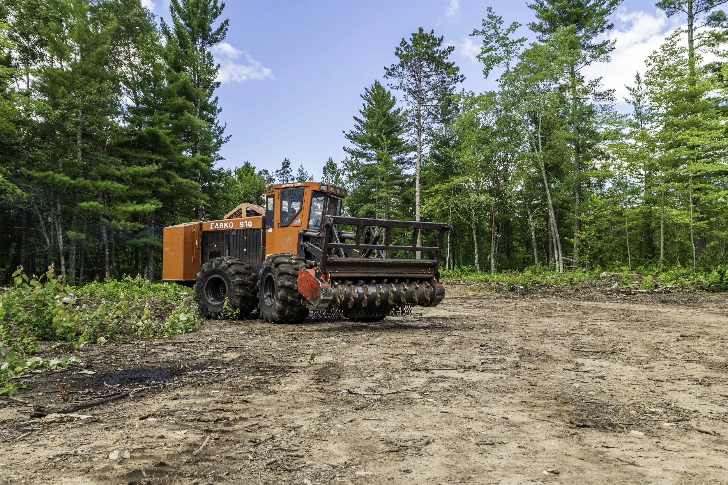 An orange forestry mulcher vehicle working on a cleared patch of land in a forest area, surrounded by tall green trees and a blue sky with some clouds.