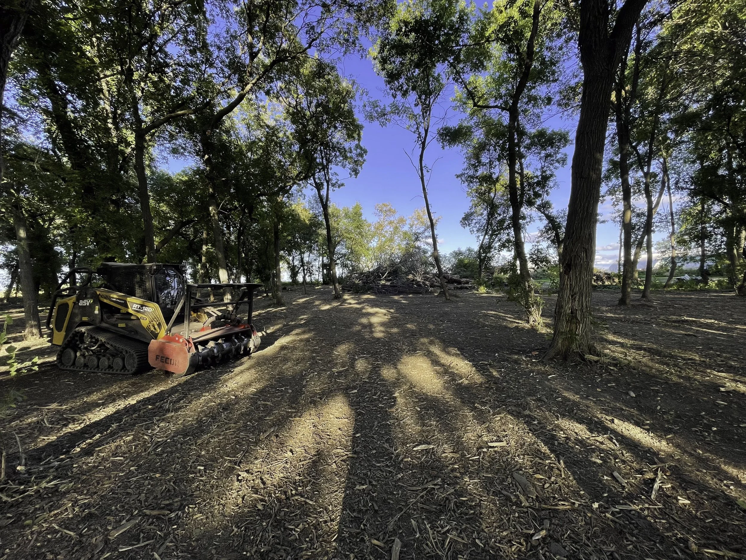 A small bulldozer parked on dirt ground surrounded by trees with sunlight casting shadows.
