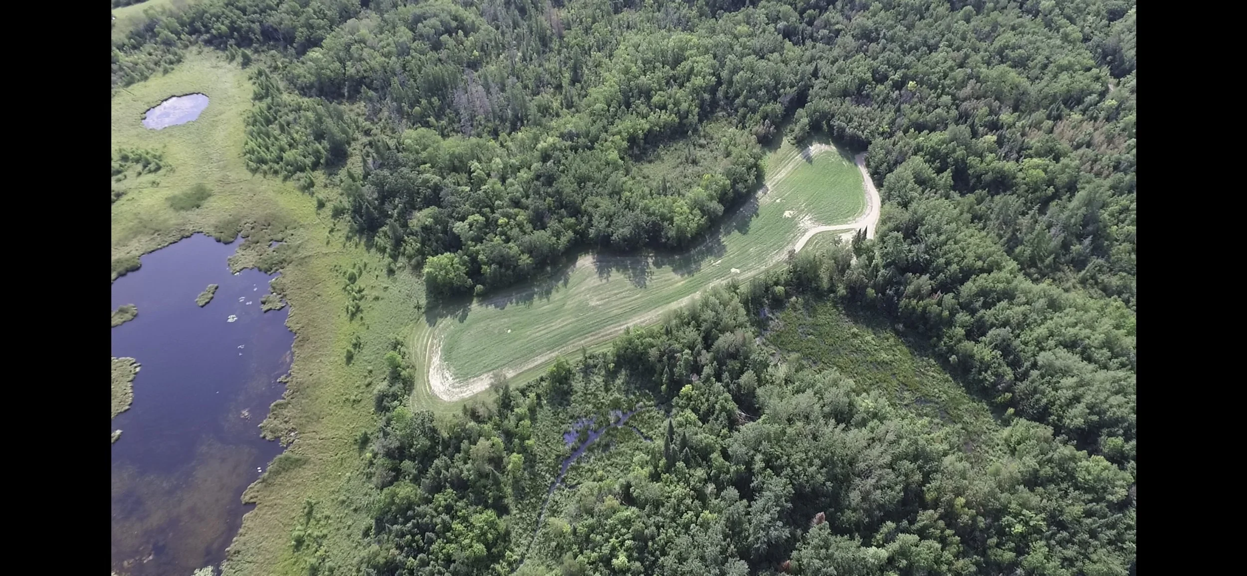 An aerial view of a lush green forest with small ponds and a grassy field with a dirt path.