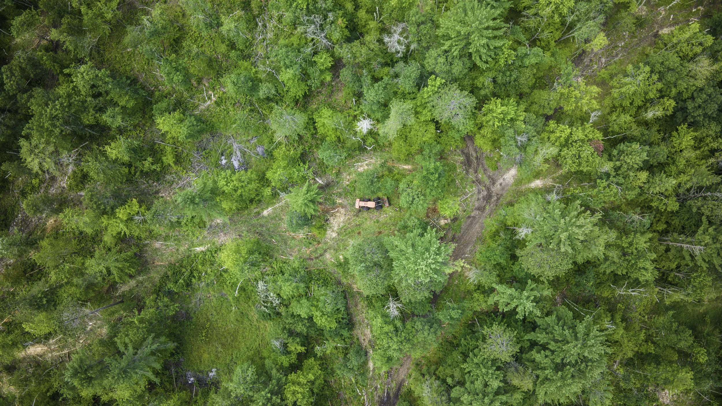 An aerial view of a dense green forest with a small clearing containing a tractor and a fallen tree.