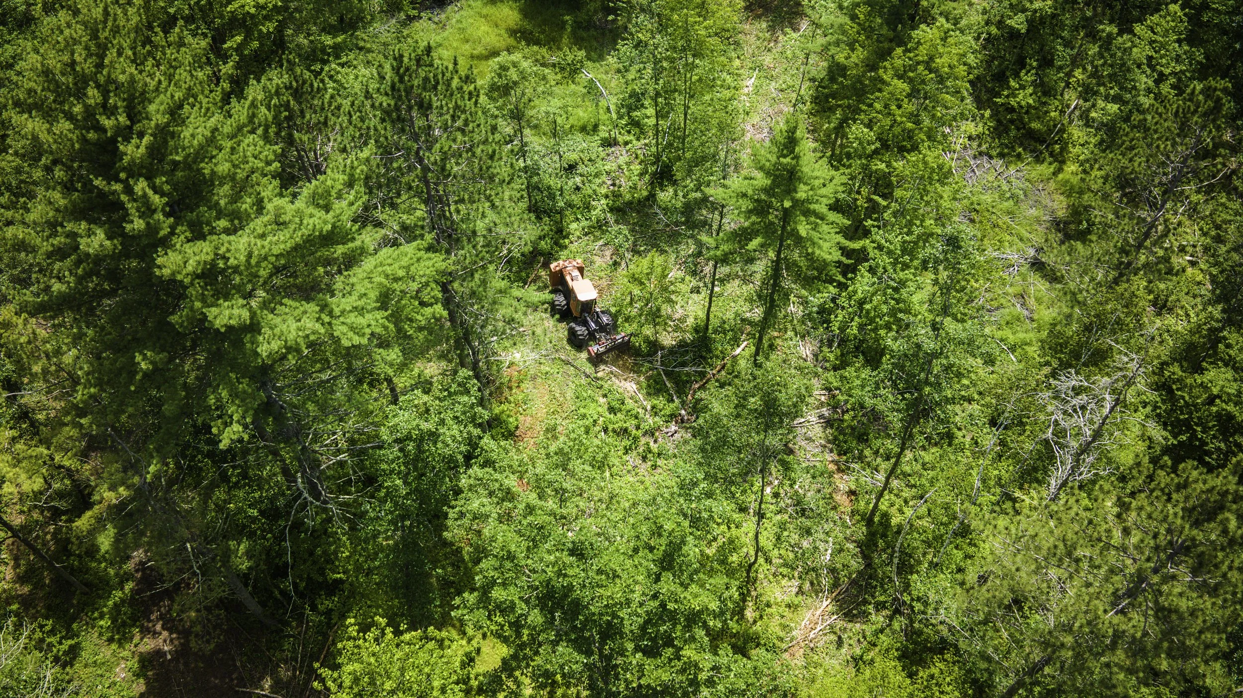 Aerial view of a dense green forest with a small orange piece of machinery clearing trees.