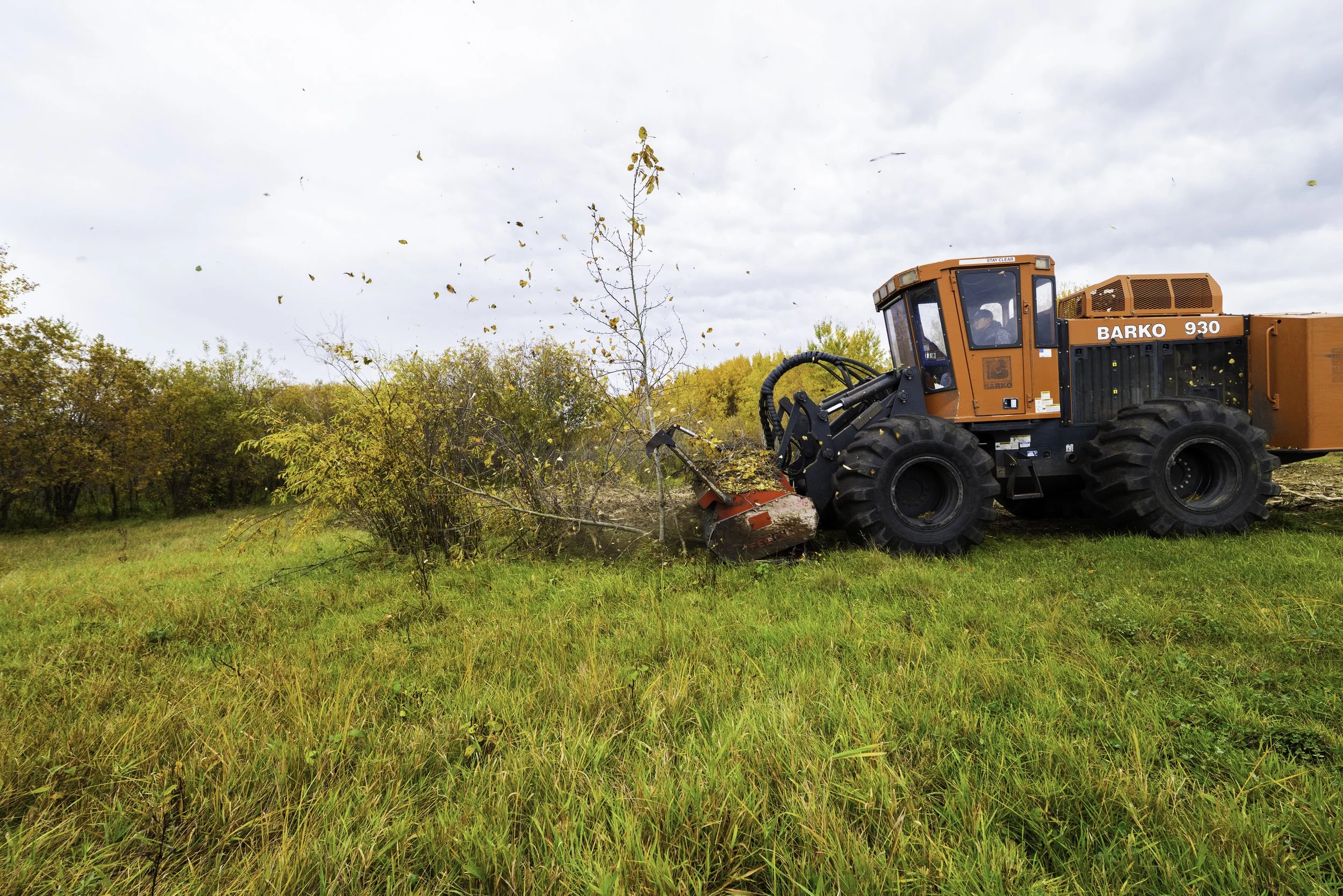 An orange bulldozer clearing trees and brush in an open field during autumn, with leaves flying in the air and a cloudy sky overhead.
