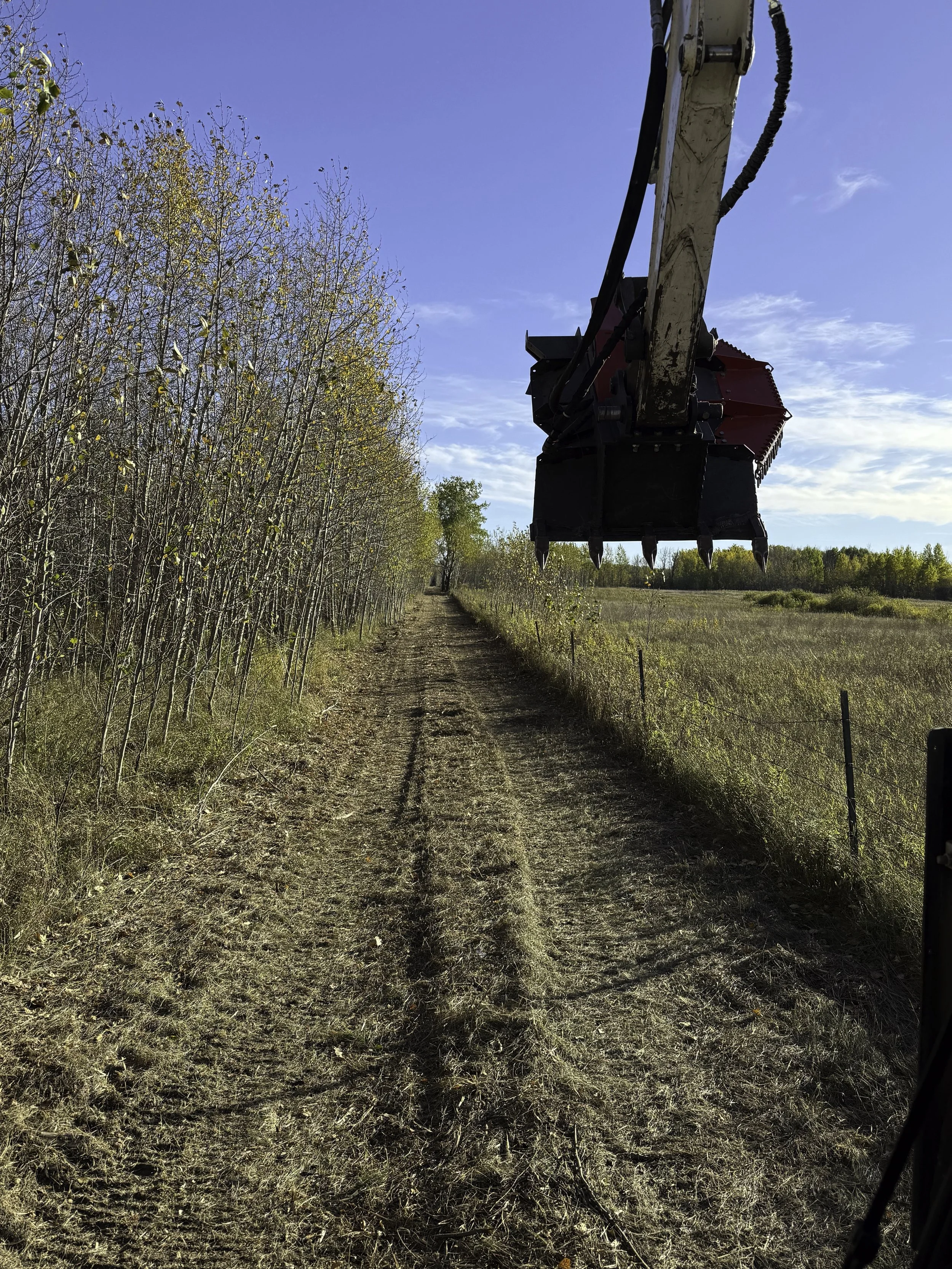 Photo of a tractor with a front loader attachment hanging over a dirt path between a wooded area on the left and open field on the right, under a blue sky with some clouds.