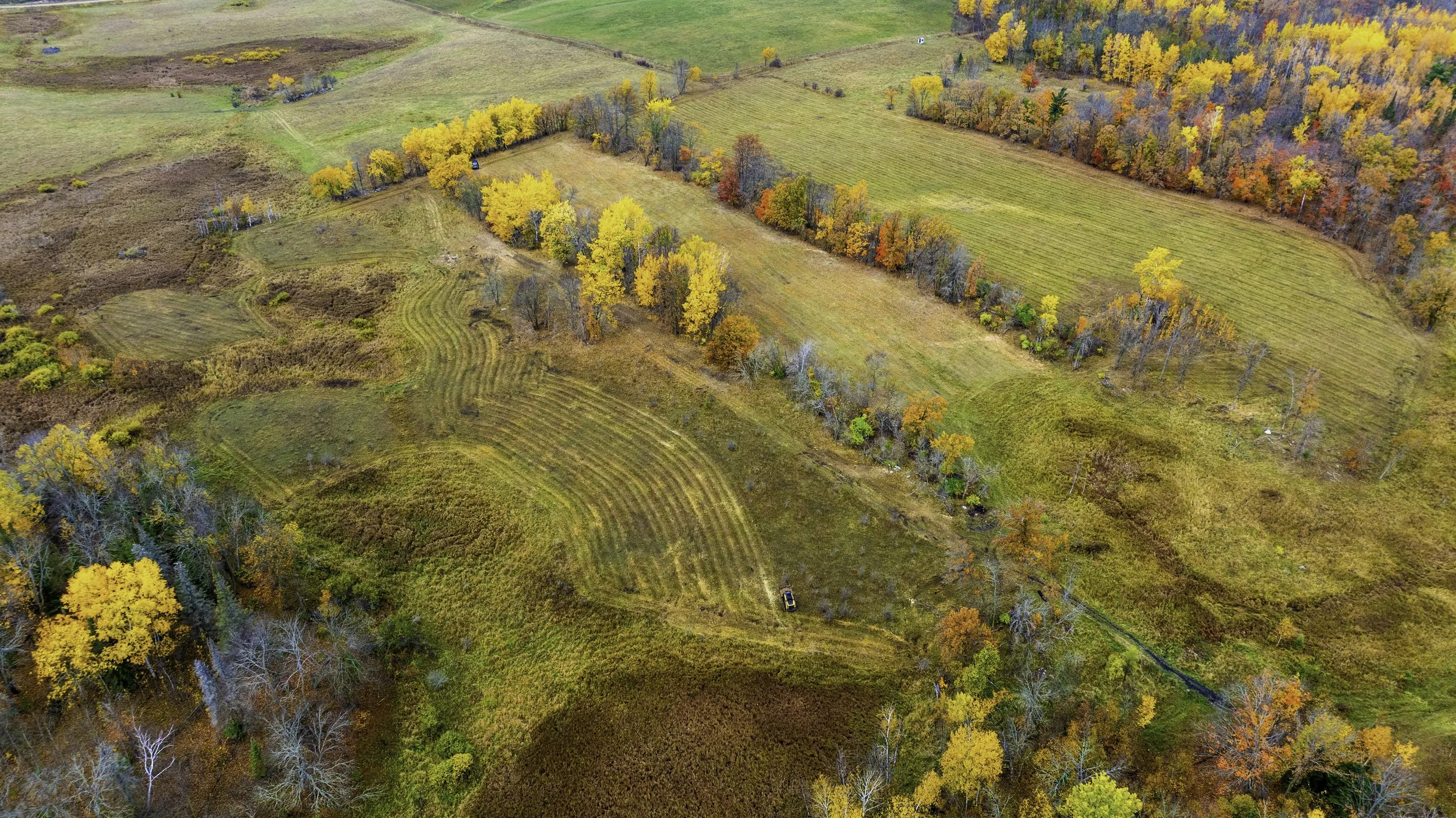 An aerial view of a landscape featuring rolling hills with grassy fields, clusters of deciduous trees in fall colors like yellow, orange, and red, and a narrow dirt path with a vehicle parked near it.
