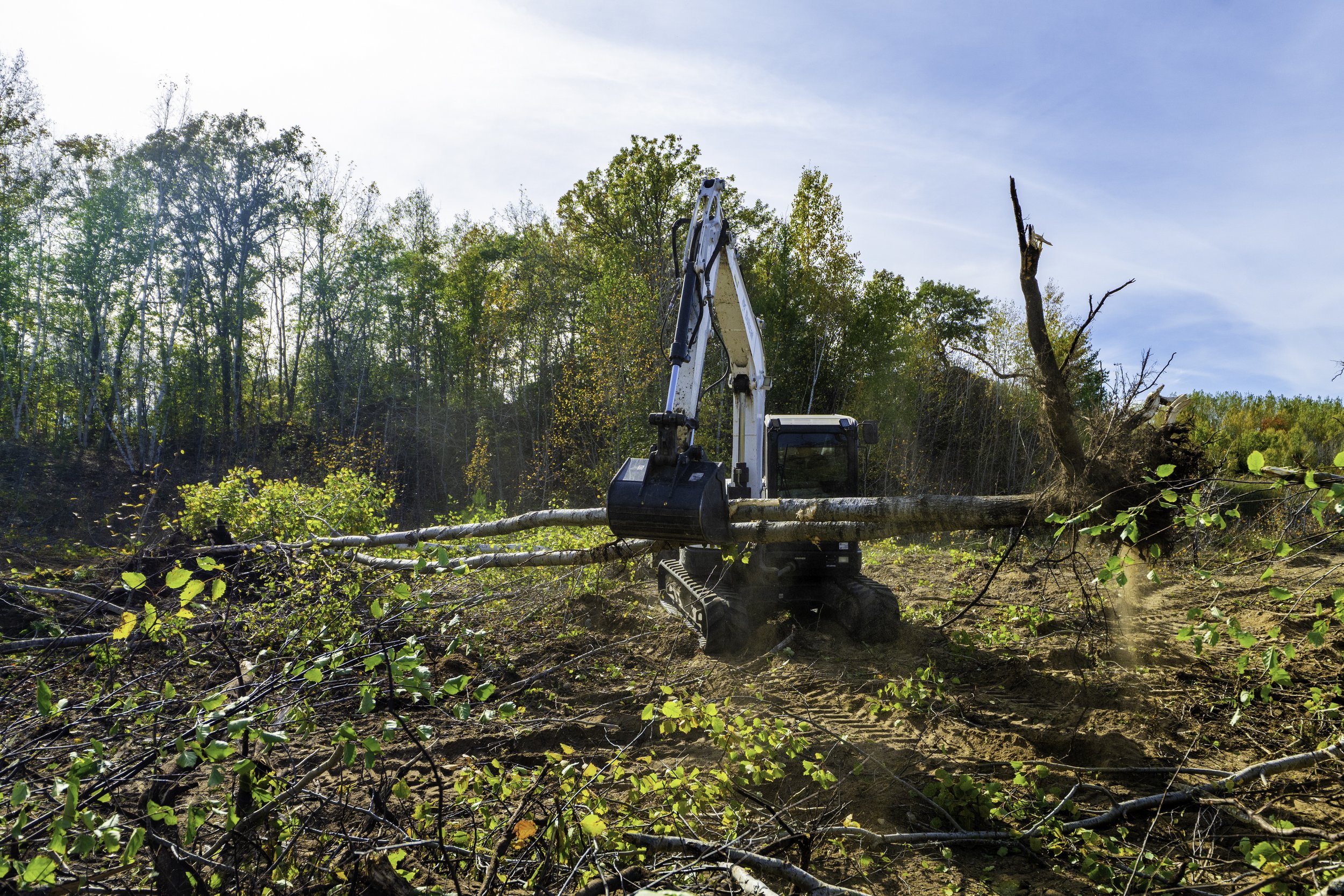 A small excavator clearing fallen tree branches in a wooded area during daytime.