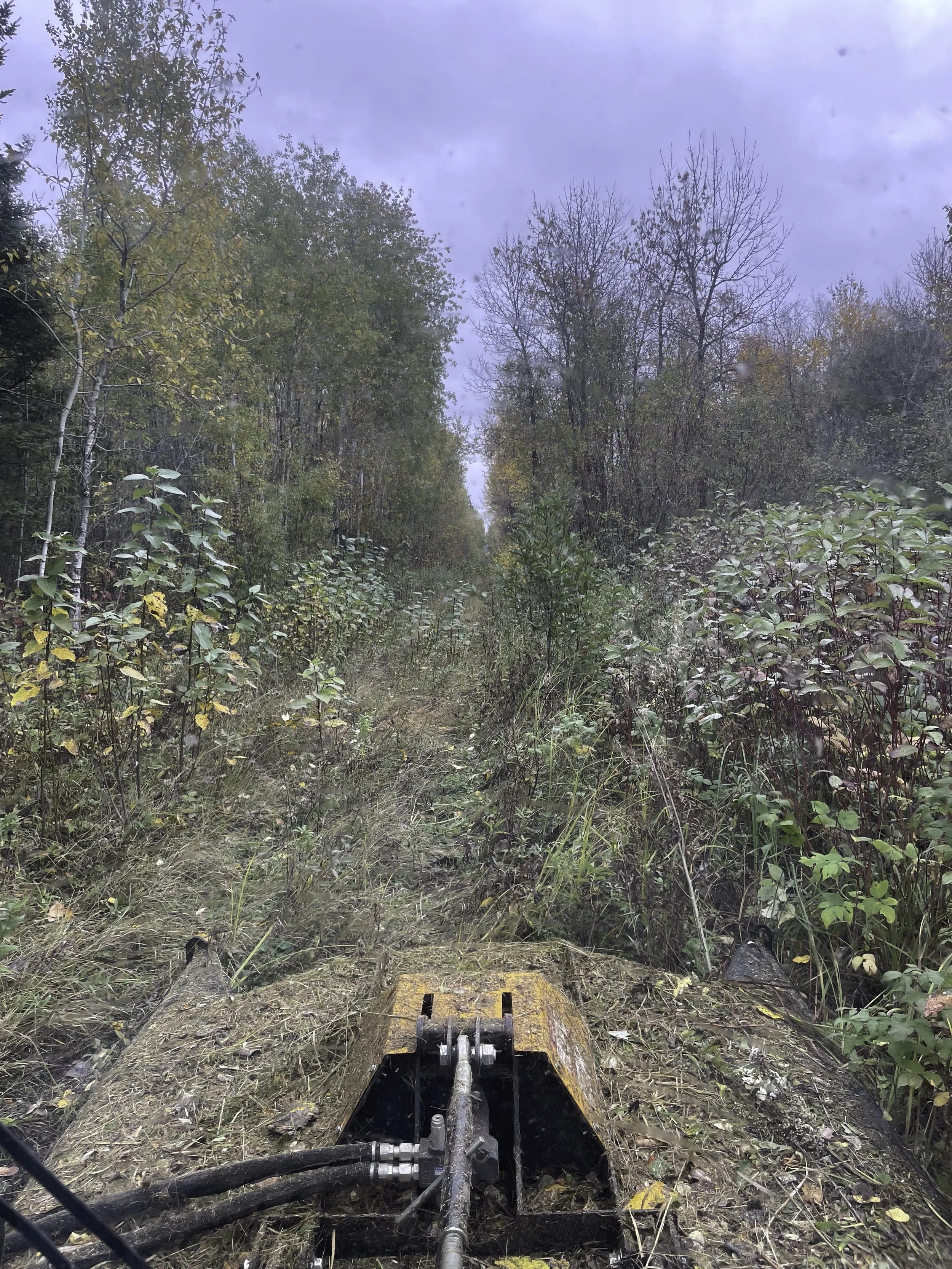 View from behind a piece of heavy machinery on a dirt path through a wooded area, with trees on both sides and a cloudy sky overhead.