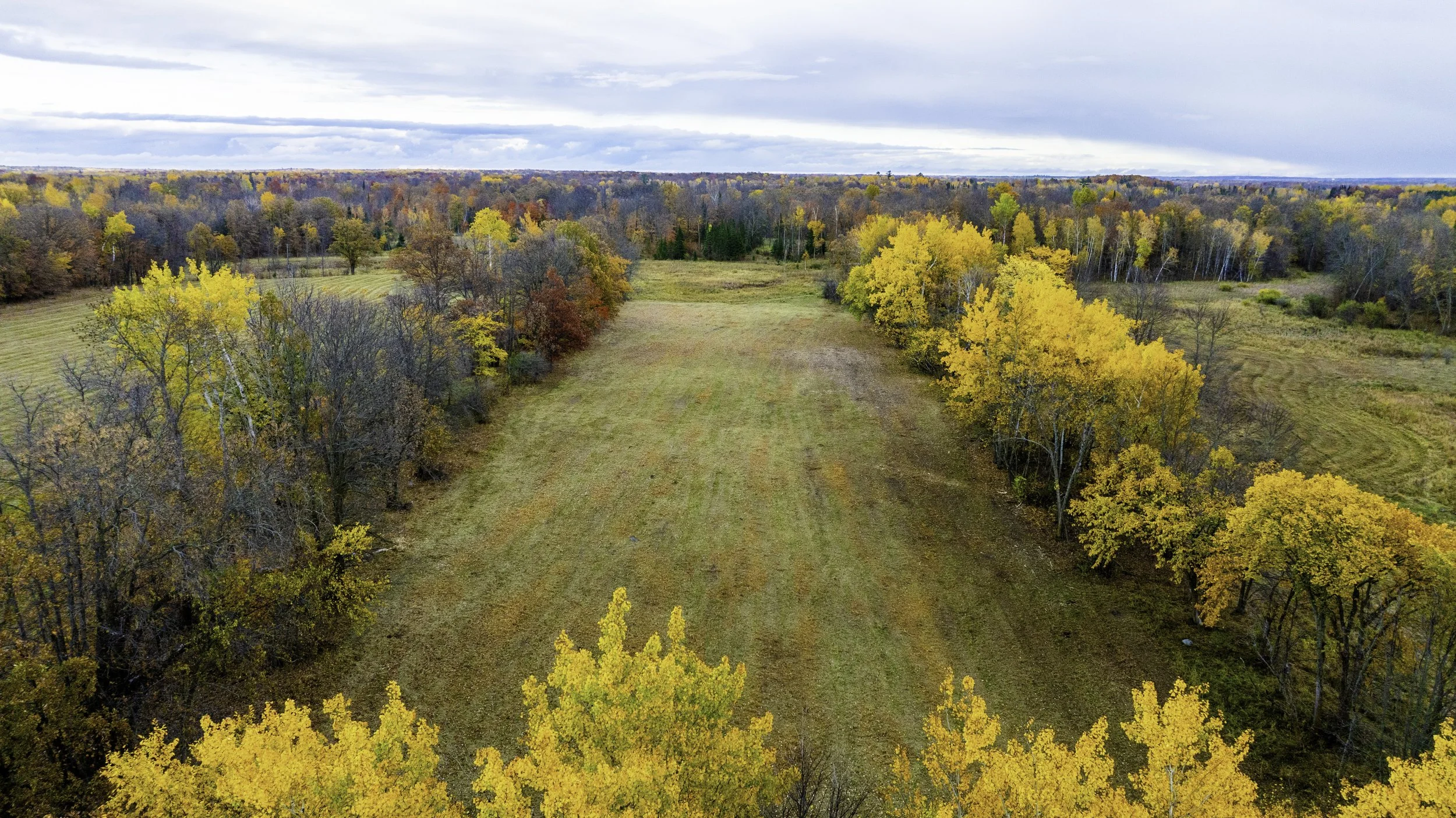Aerial view of a fall landscape with colorful trees and a cleared grassy field in the center, under a cloudy sky.