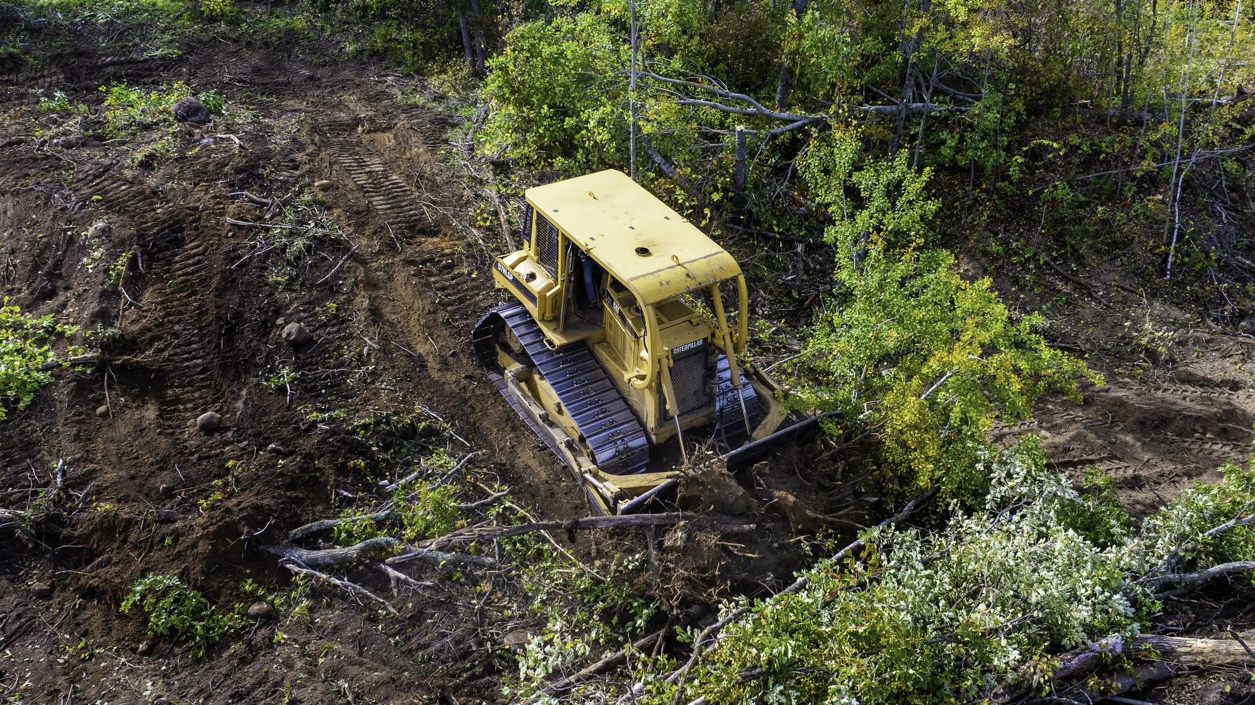 A yellow bulldozer working on a hillside, clearing trees and soil during land development.